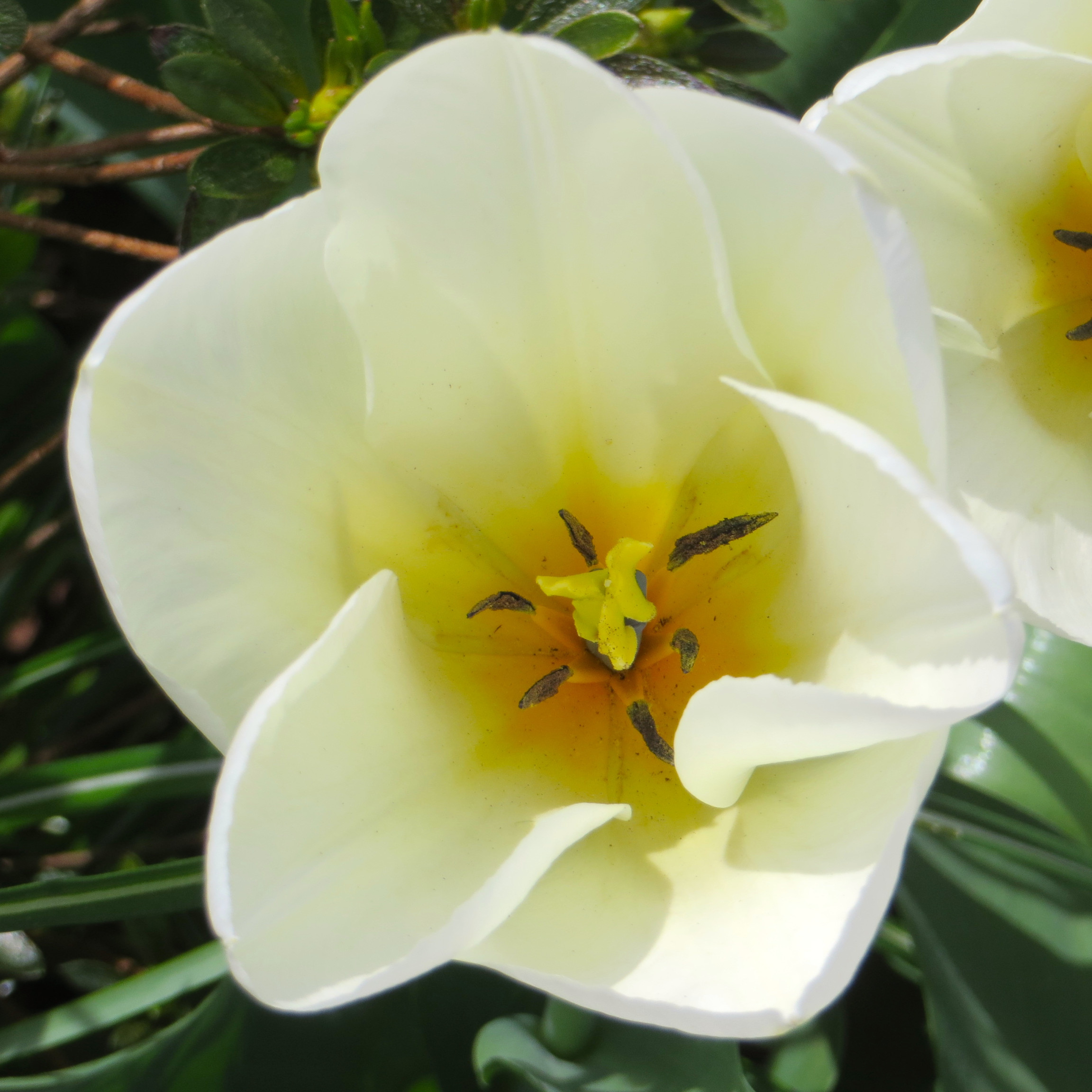Good Friday, Great Weekend