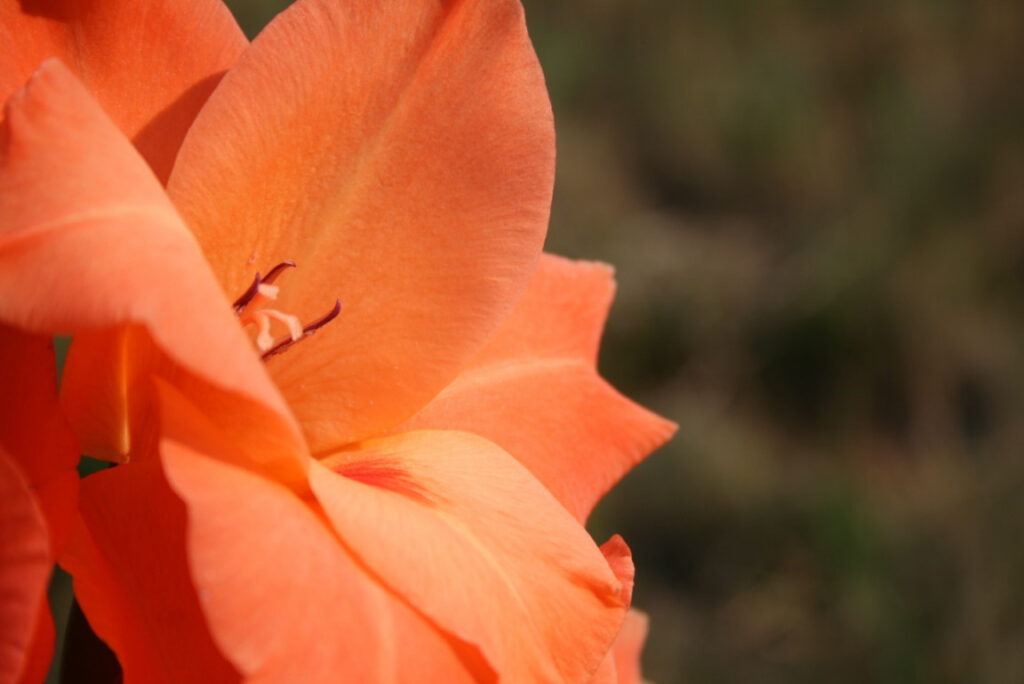 Photography is My ƒ8