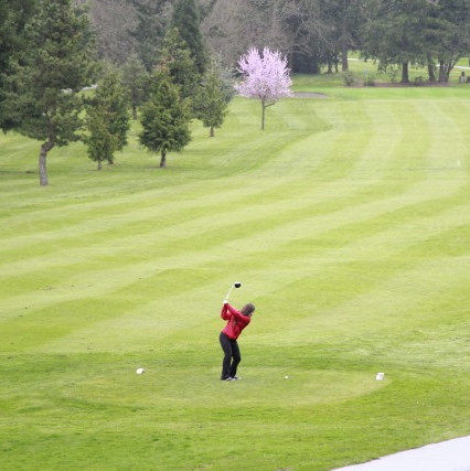 Fore Fun