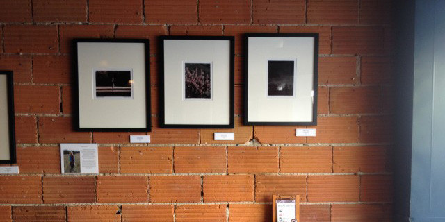 Arts Update 1