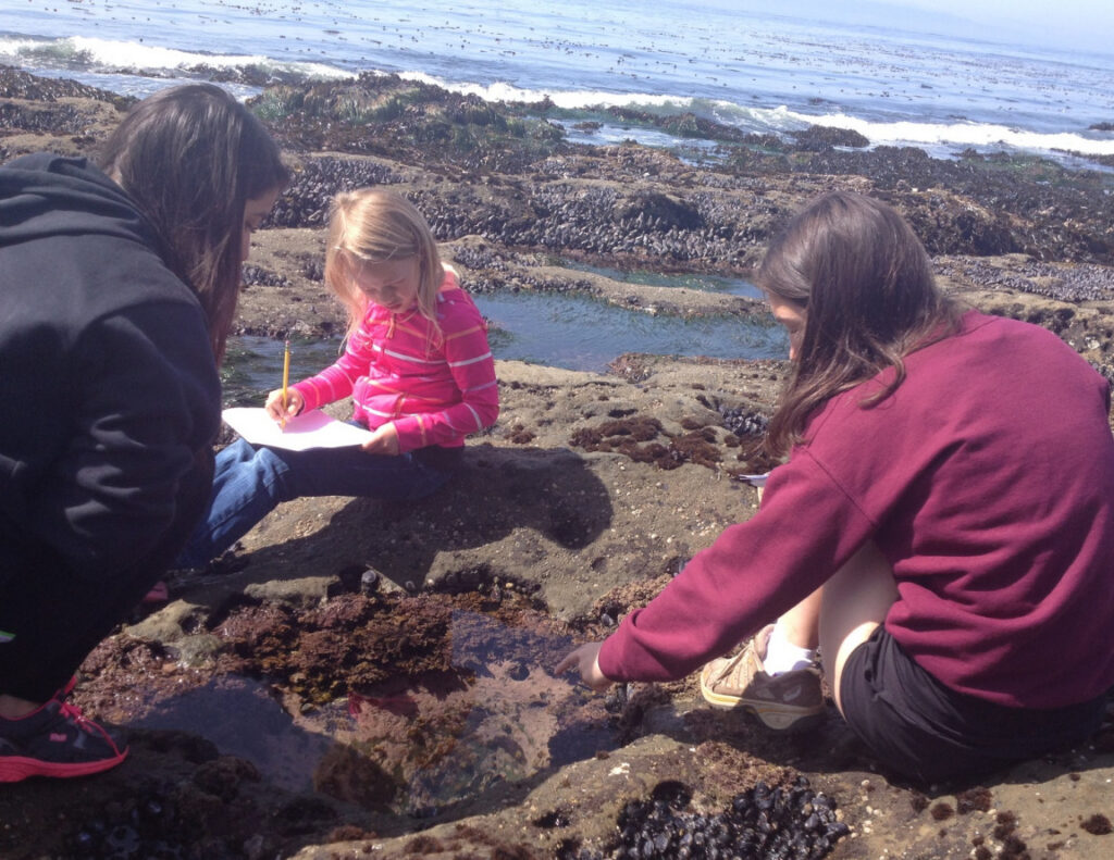 Botanical Beach