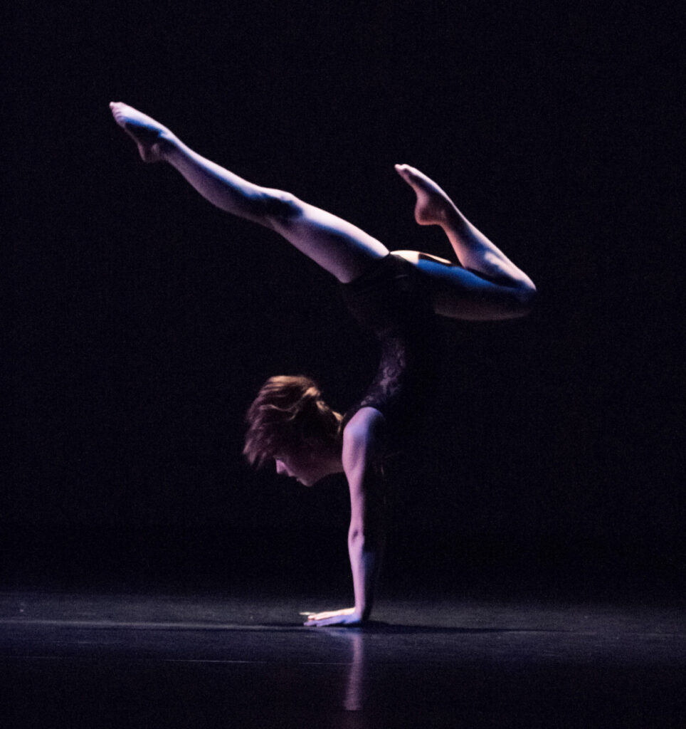 Dance 2013-2014