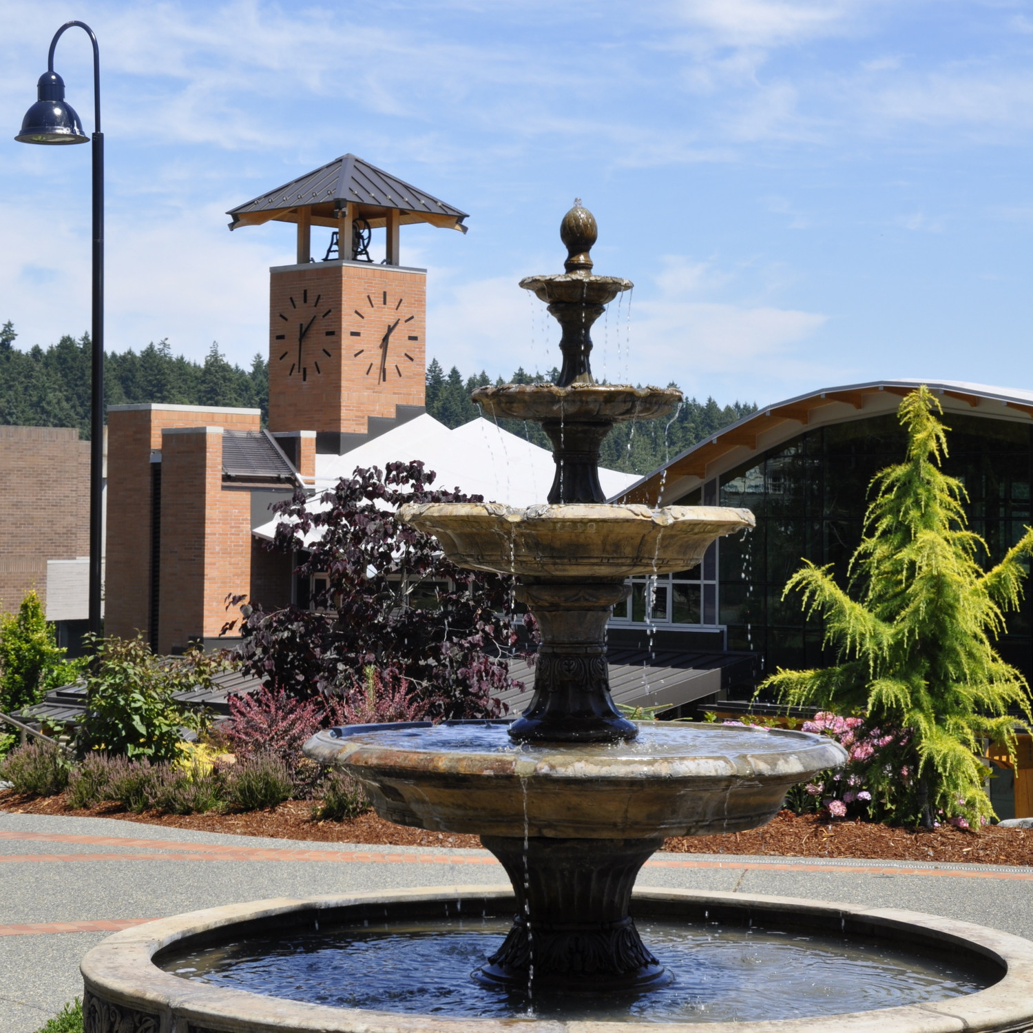 Annual Giving Exceeds Goal!