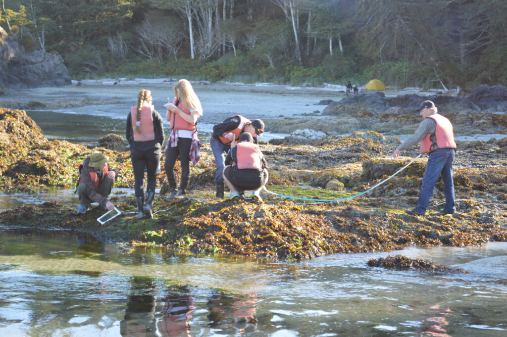 Bio AP12 Has a Bamfield Blast