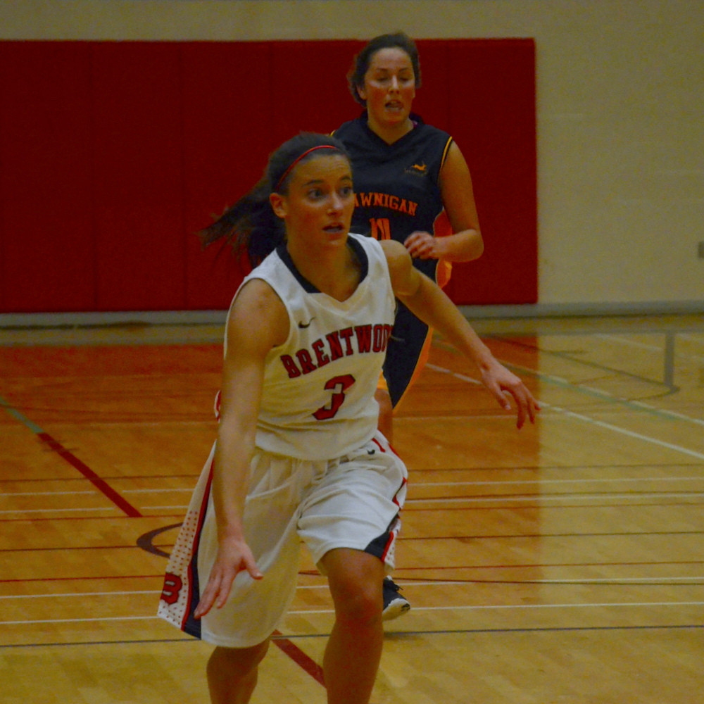 Showcase Hoops Harry Stags