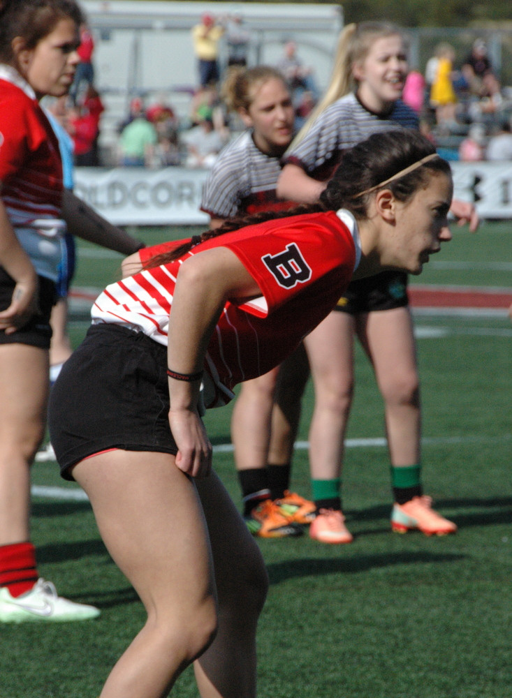 Provincial Gold Comes in 7s