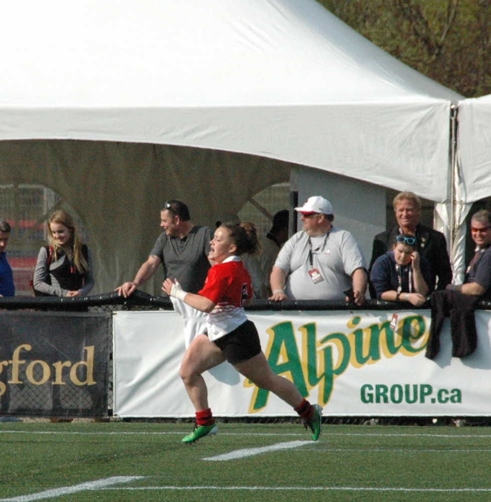 Provincial Gold Comes in 7s