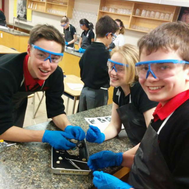 Grade 8s: A New Perspective