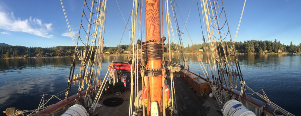Grade Eights on the Seven Seas