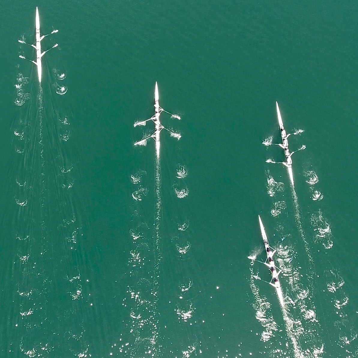 Regatta From the Sky