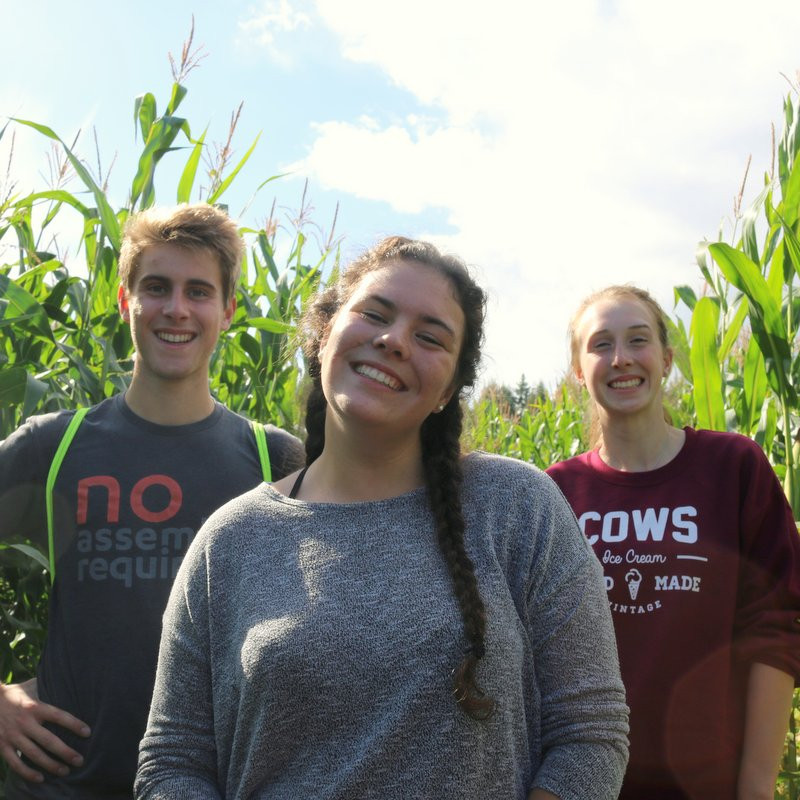 An A-Maze-Ing Start to the Year