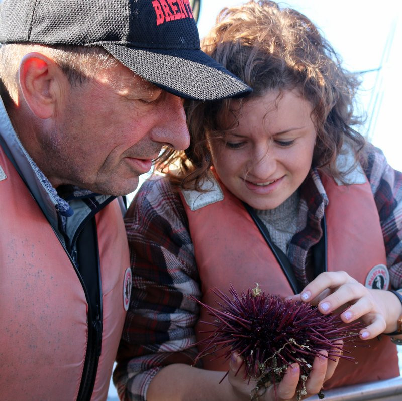 Biology in Bamfield: An AP Adventure