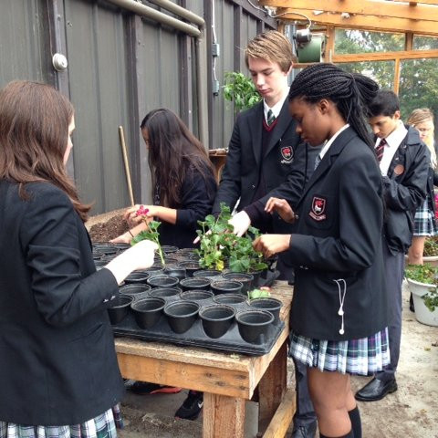 Senior Biology Gets to the Root of Exploration