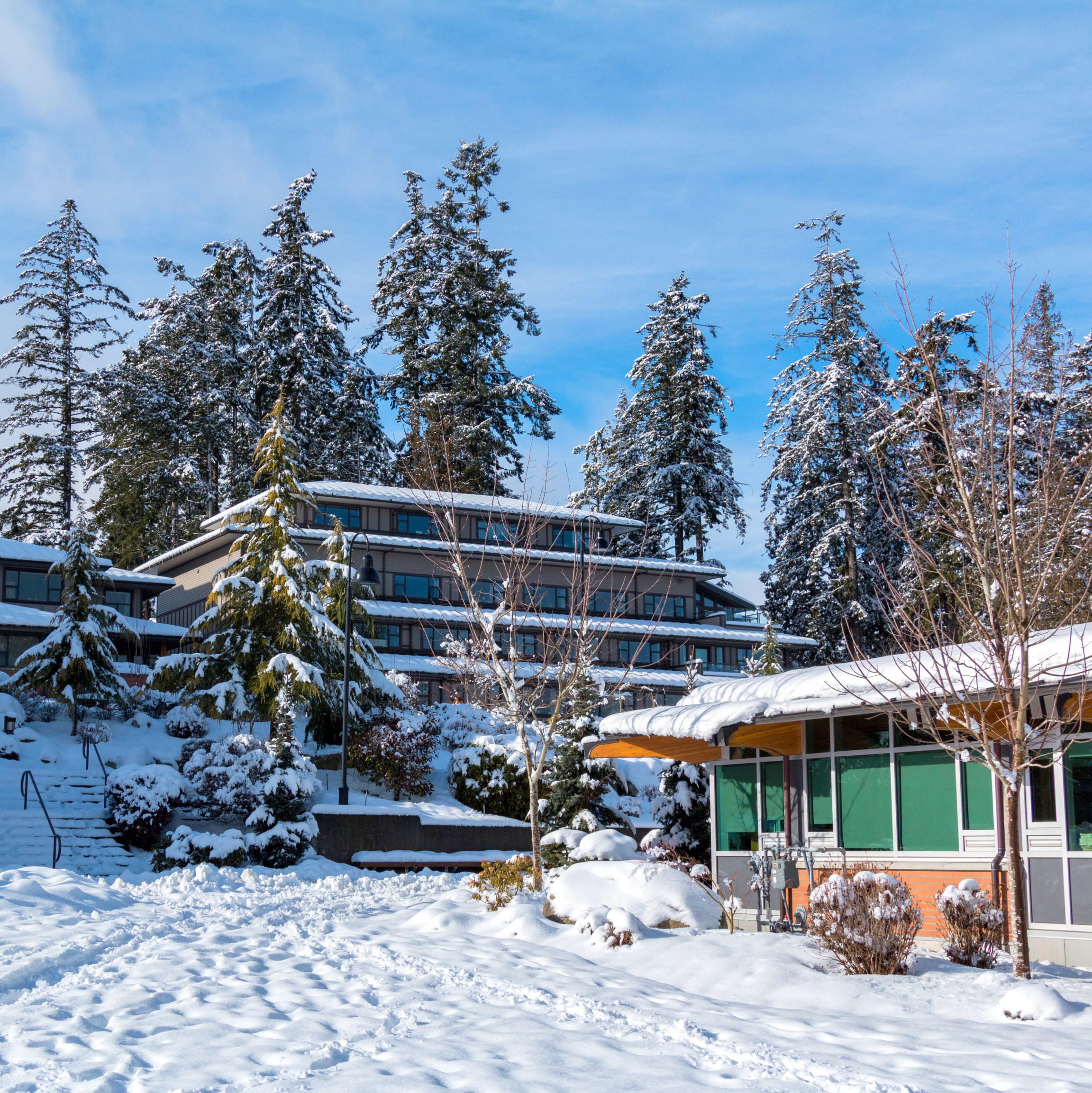 No School: A Day in A Brentwood Winter Wonderland