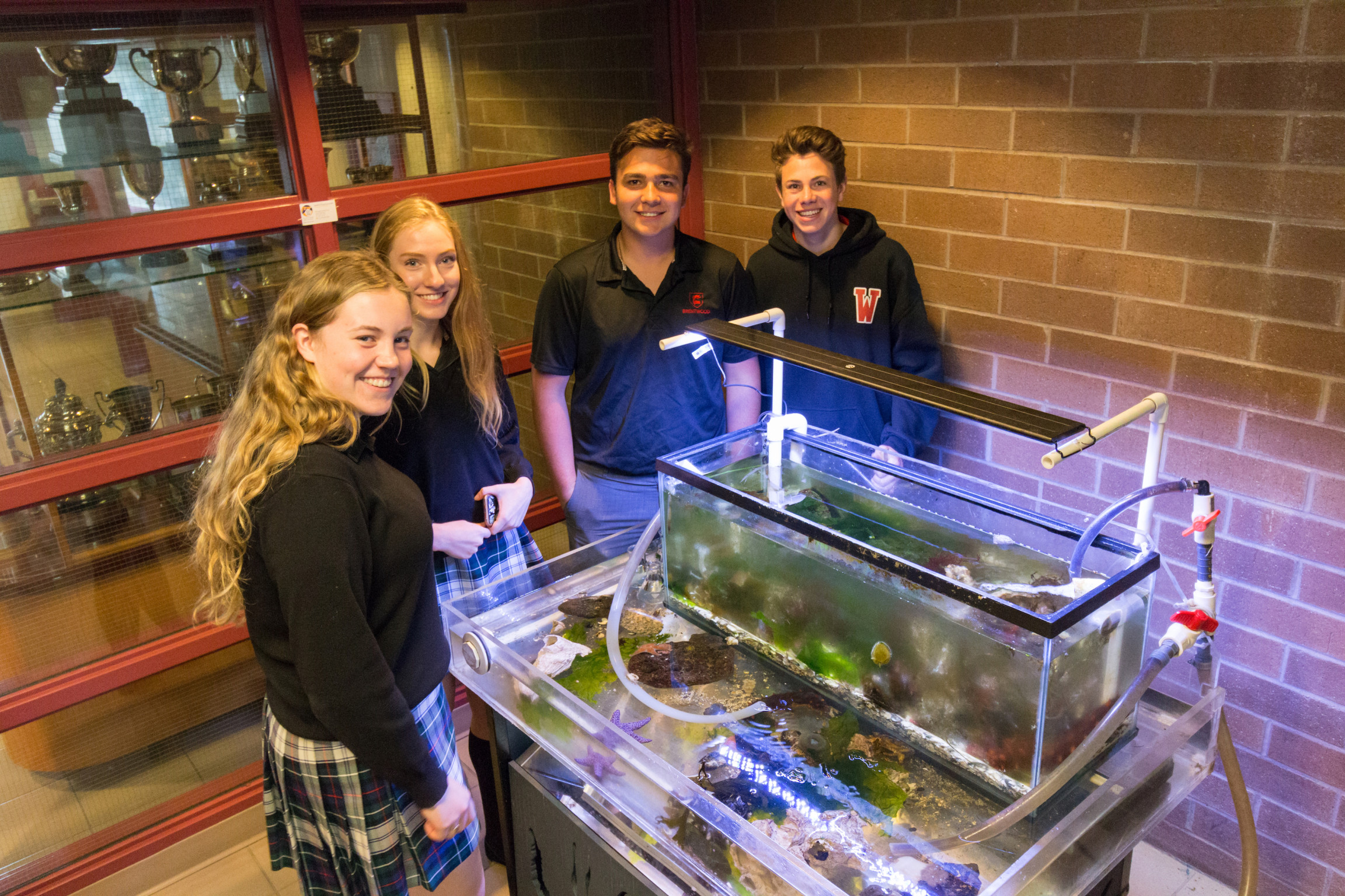 The Seaquarium