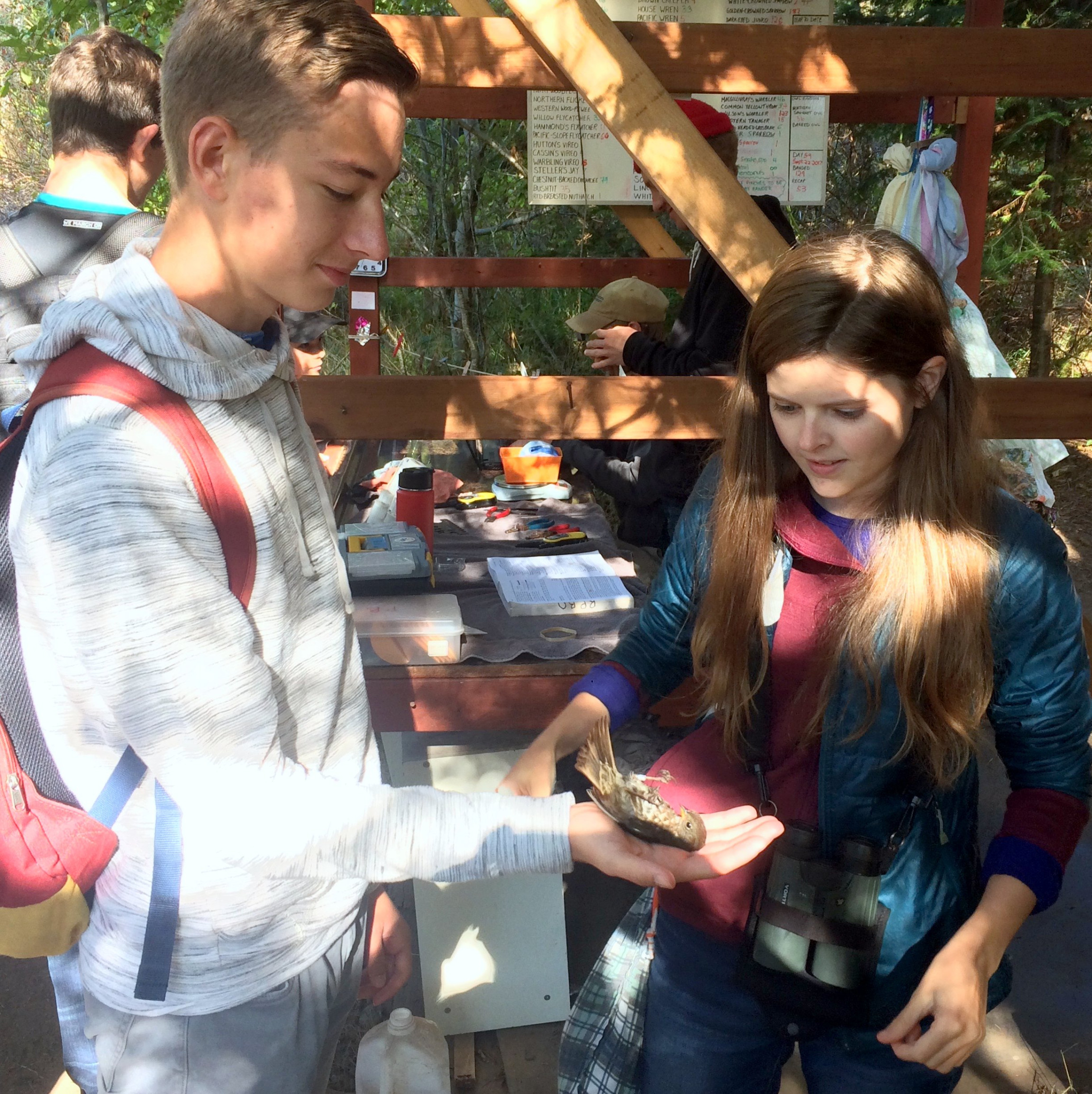 Bird Banding in Bio 11