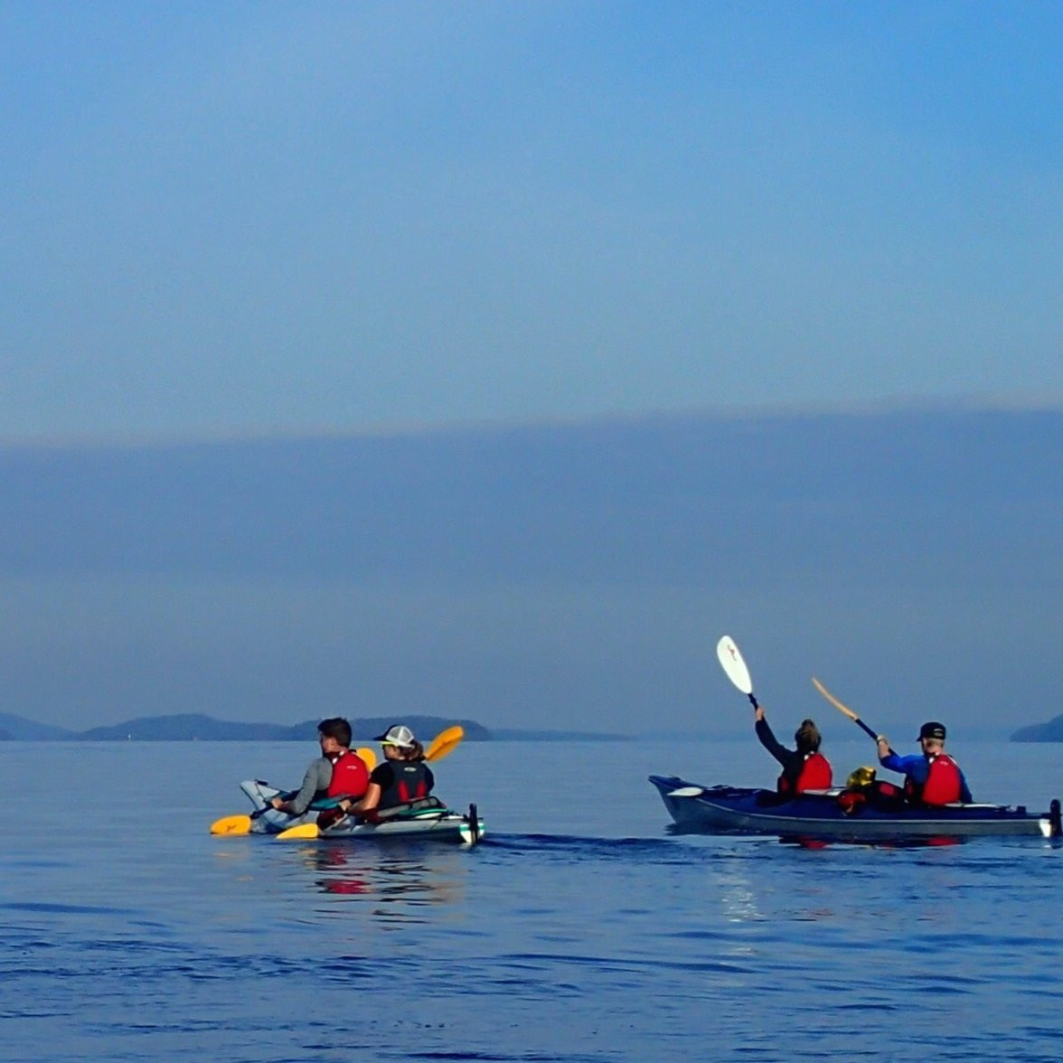 An Ocean Adventure