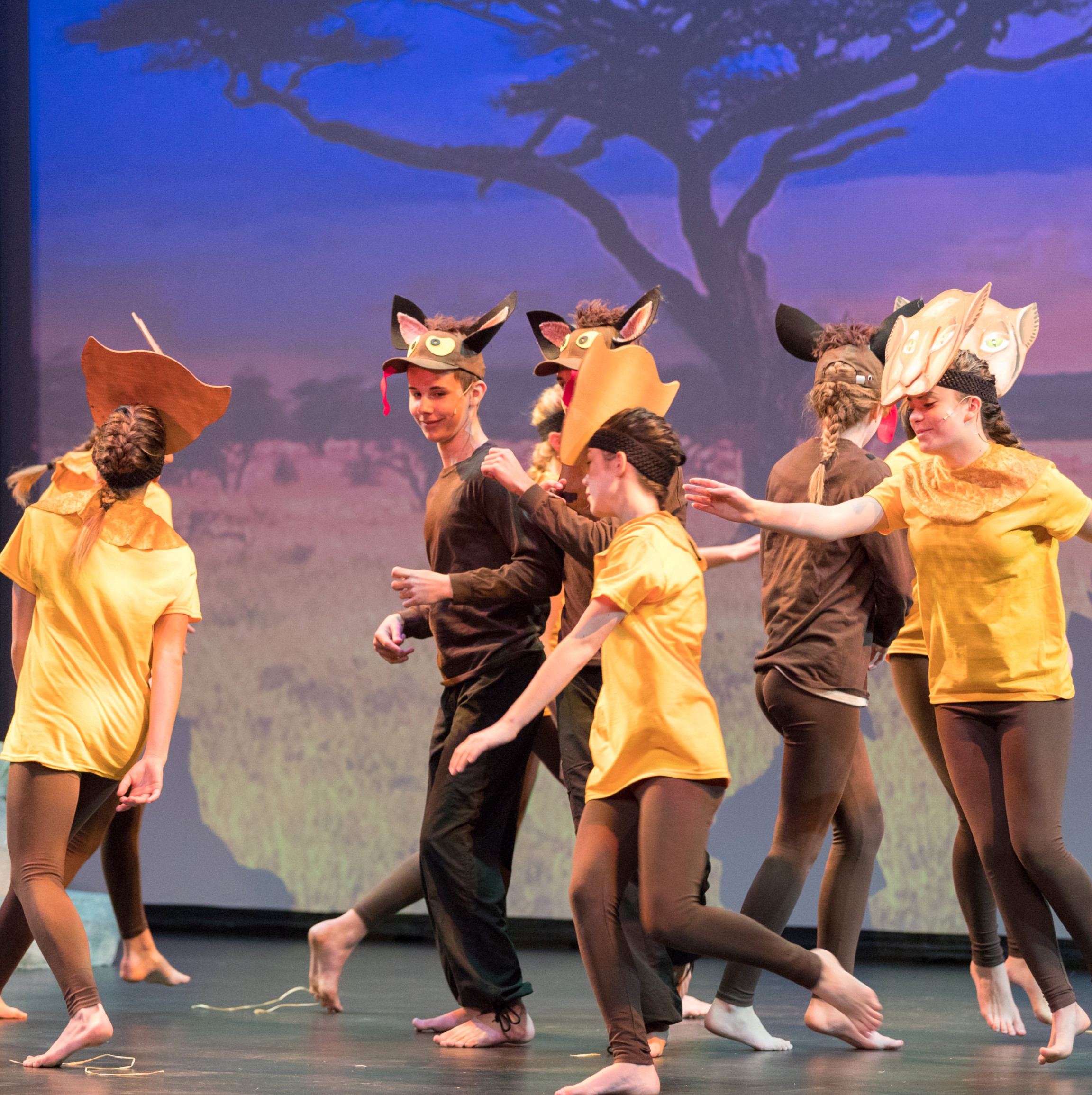 Lion King Jr.