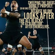 Sweep the Sheds