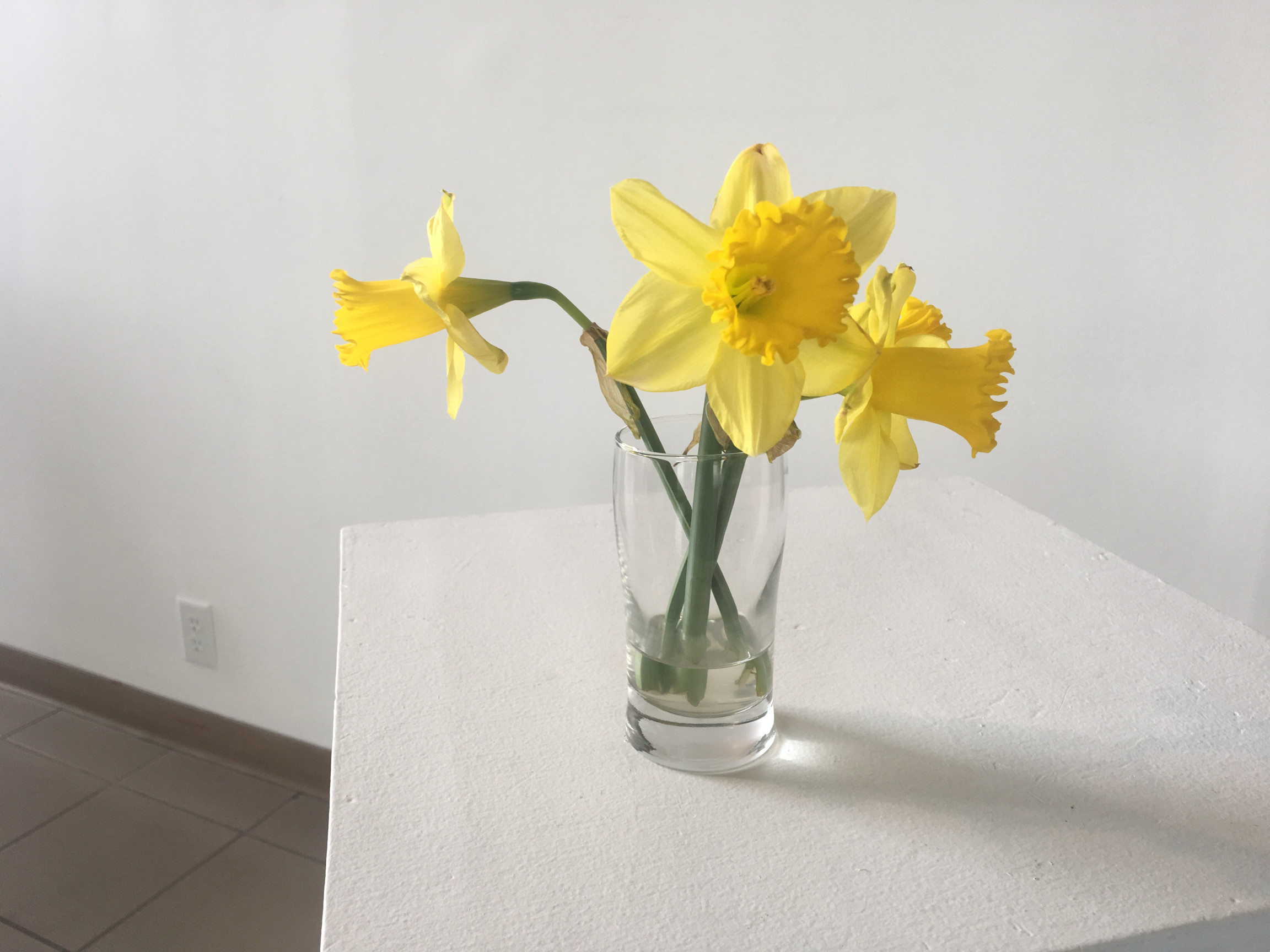 St. David’s Day
