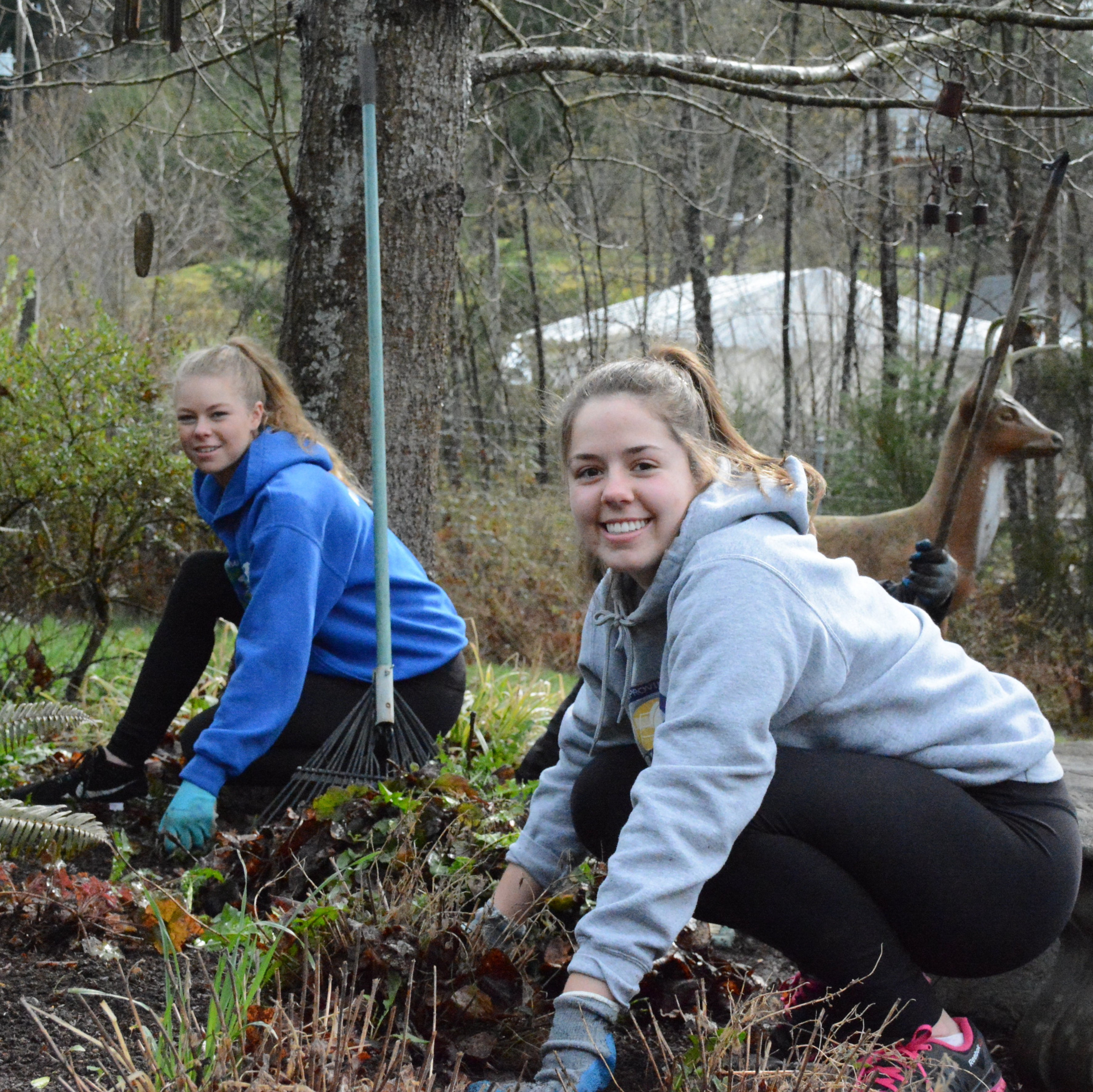 A Good Deed a Day Allows for Kindness to Stay
