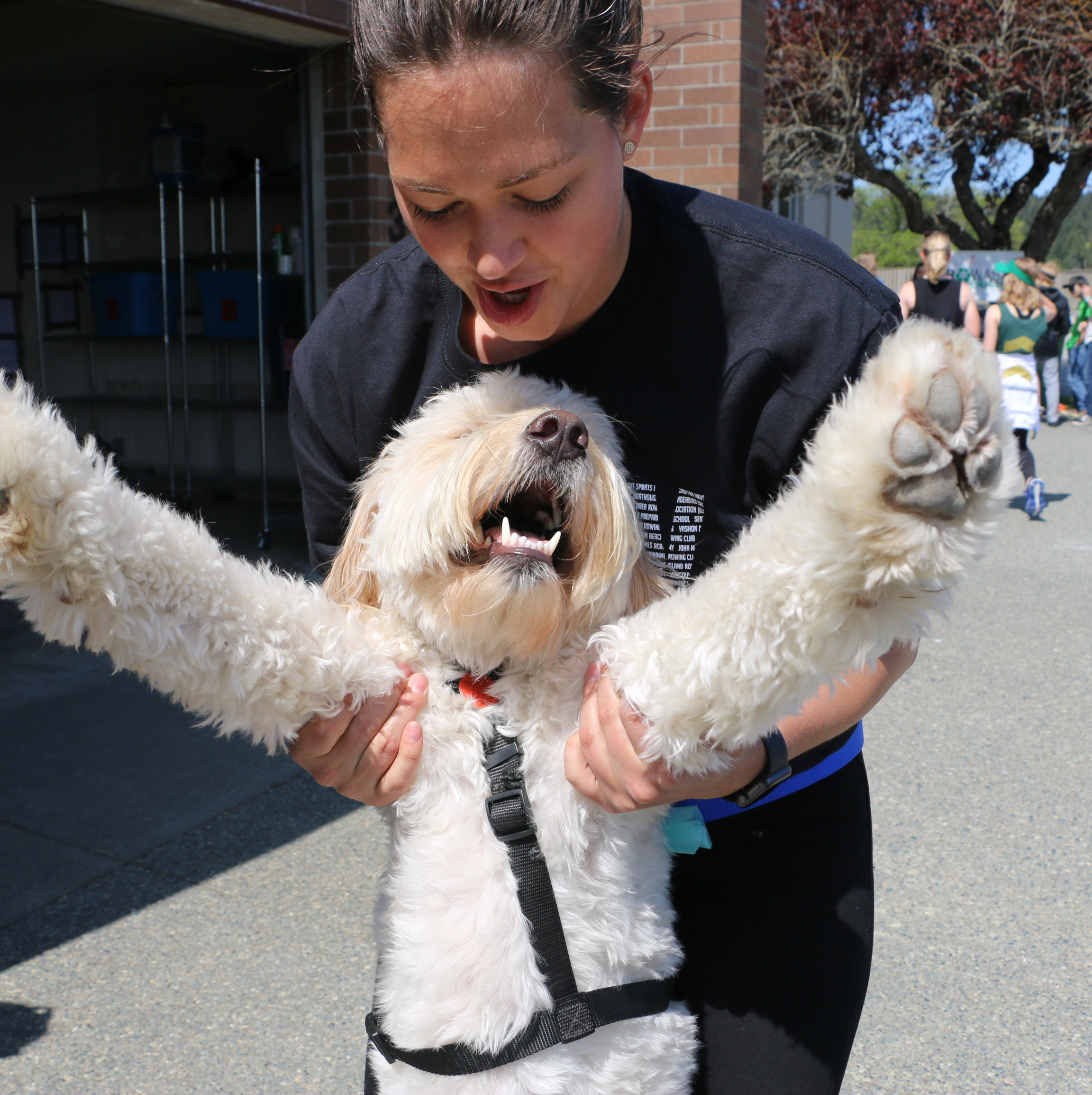 Dogs of the 48th Regatta