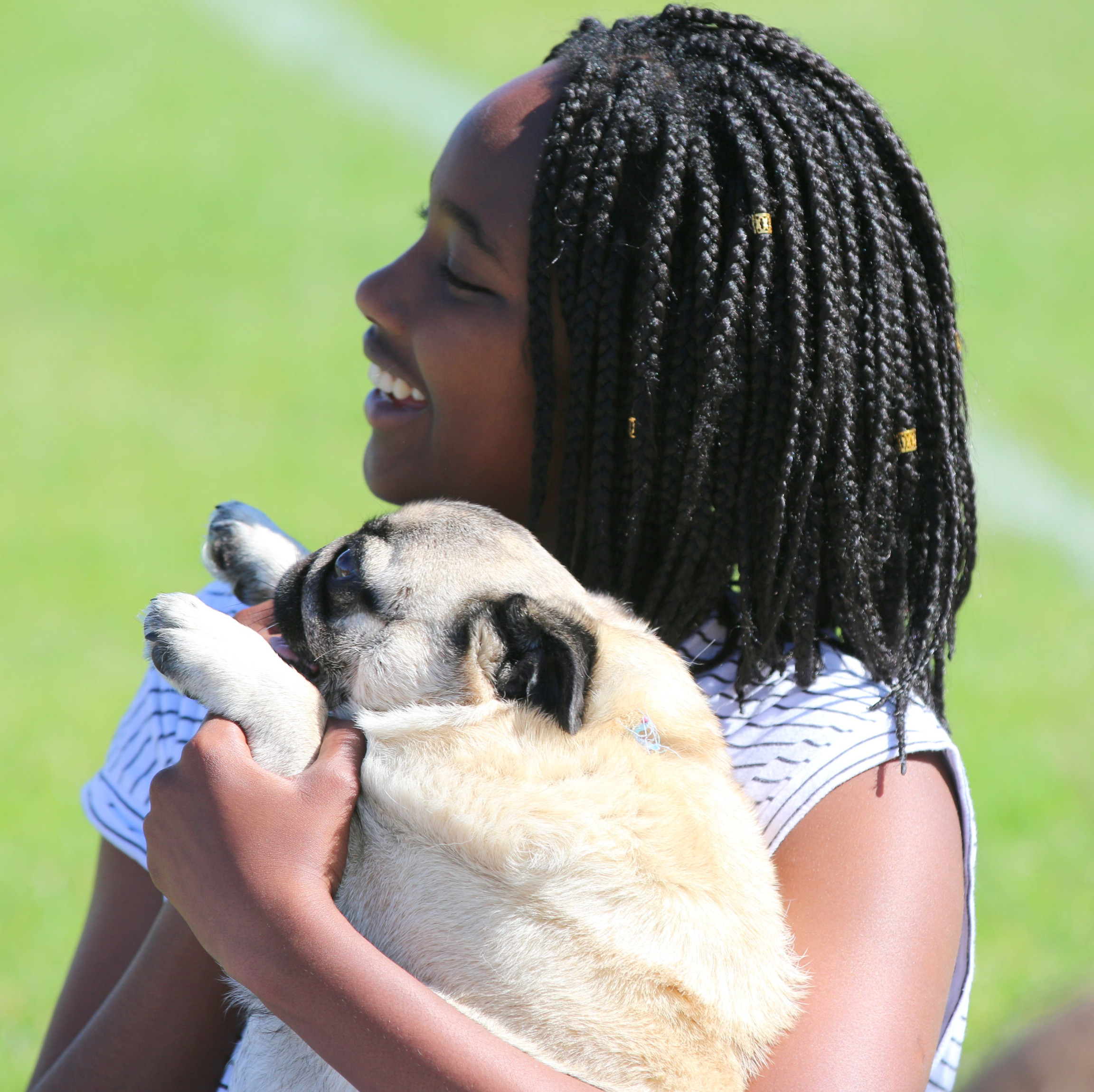 Pug Day