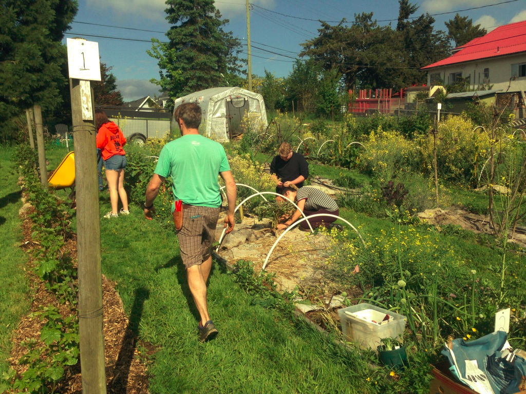 Sleuthing Sustainable Farming
