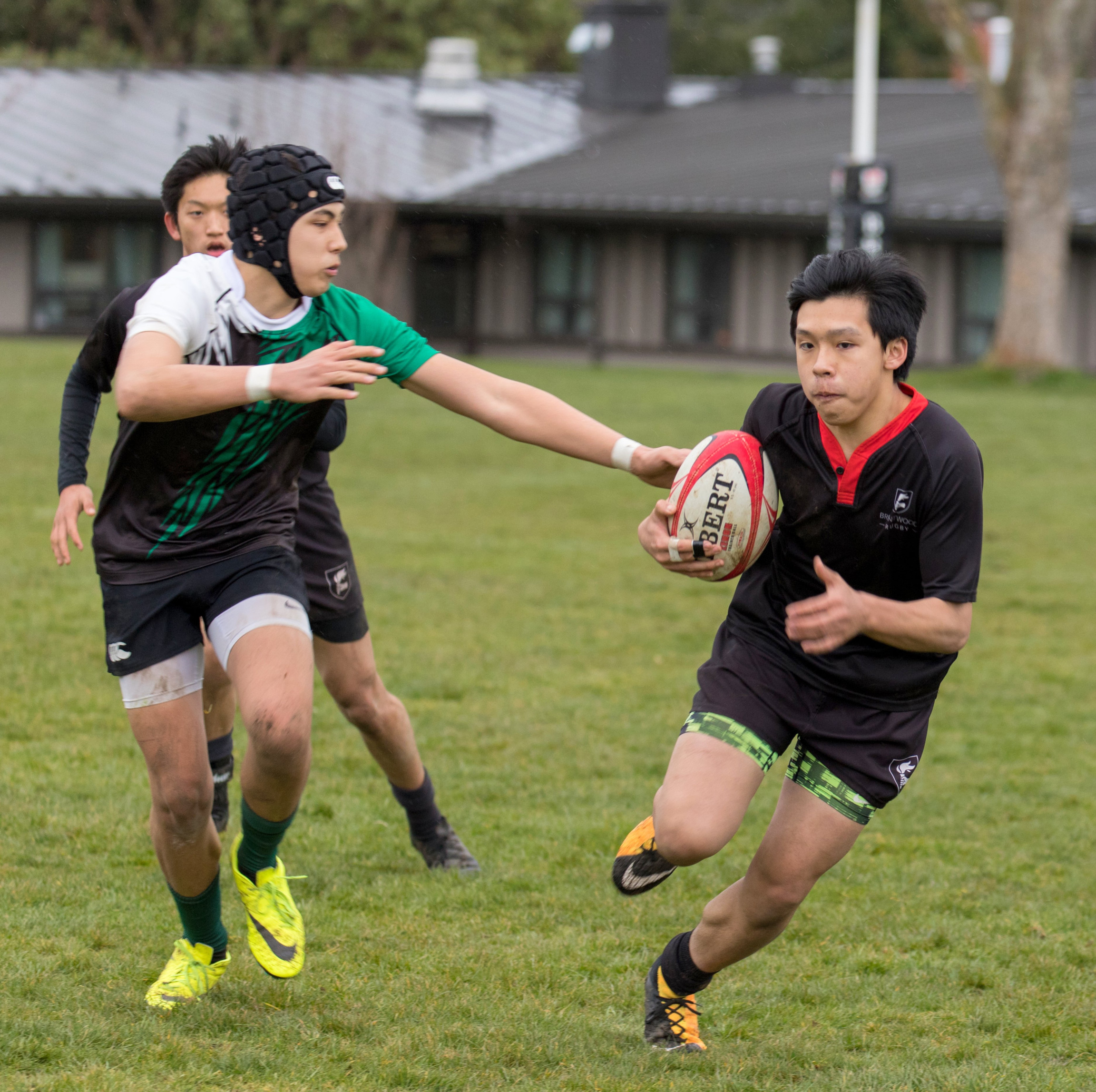 Colts Rugby 1