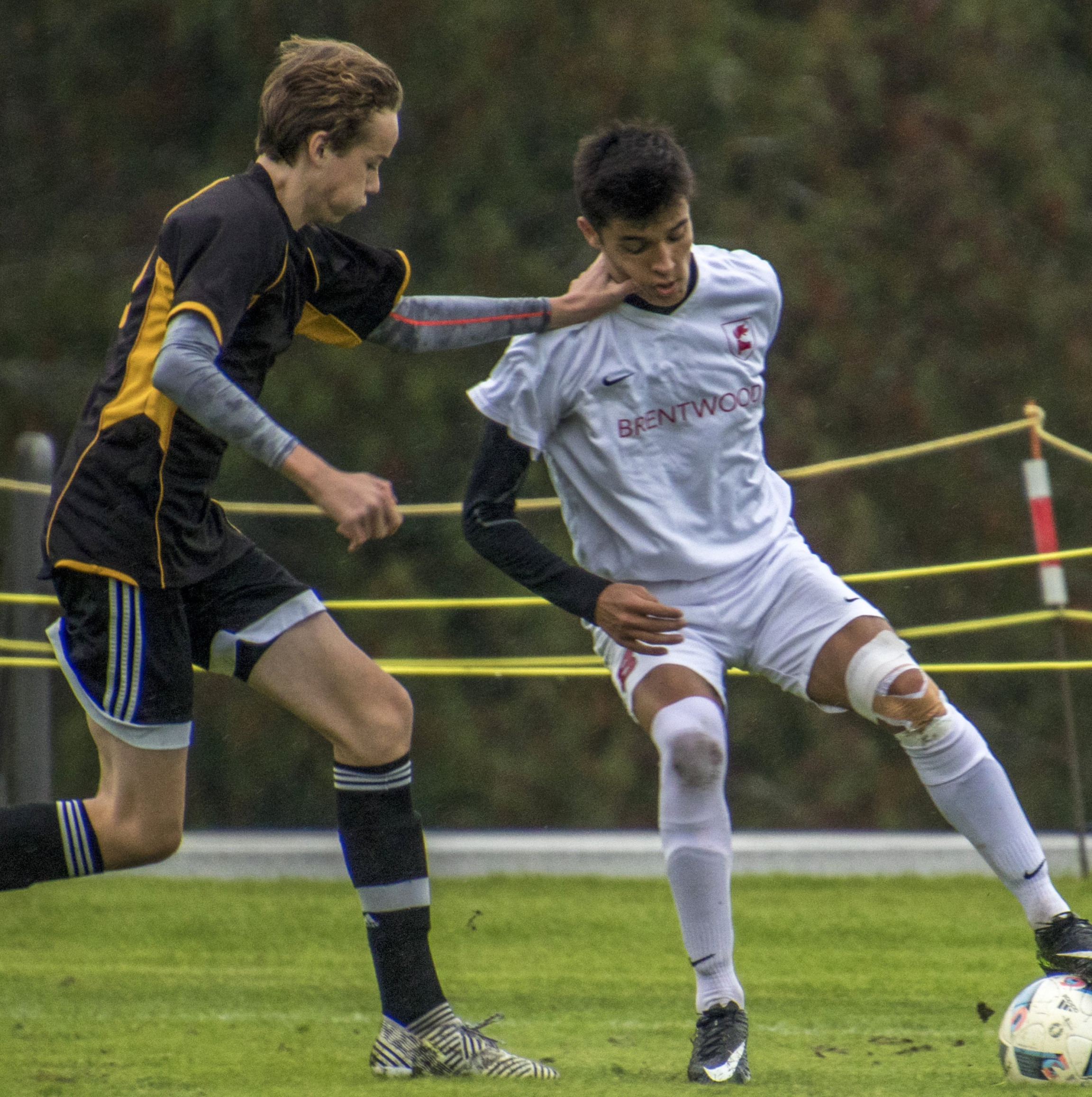 Senior Soccer Looks North