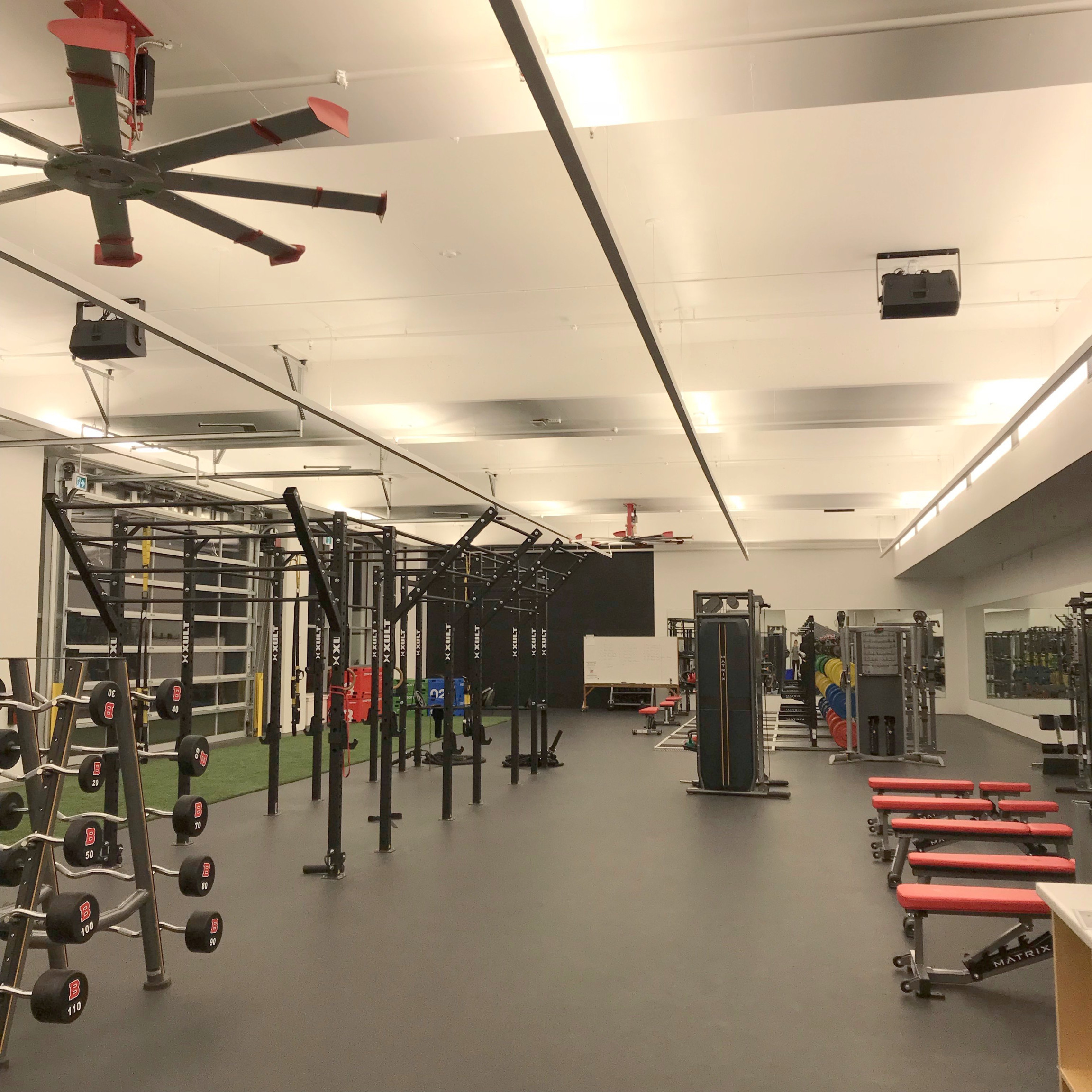Strength & Conditioning 1
