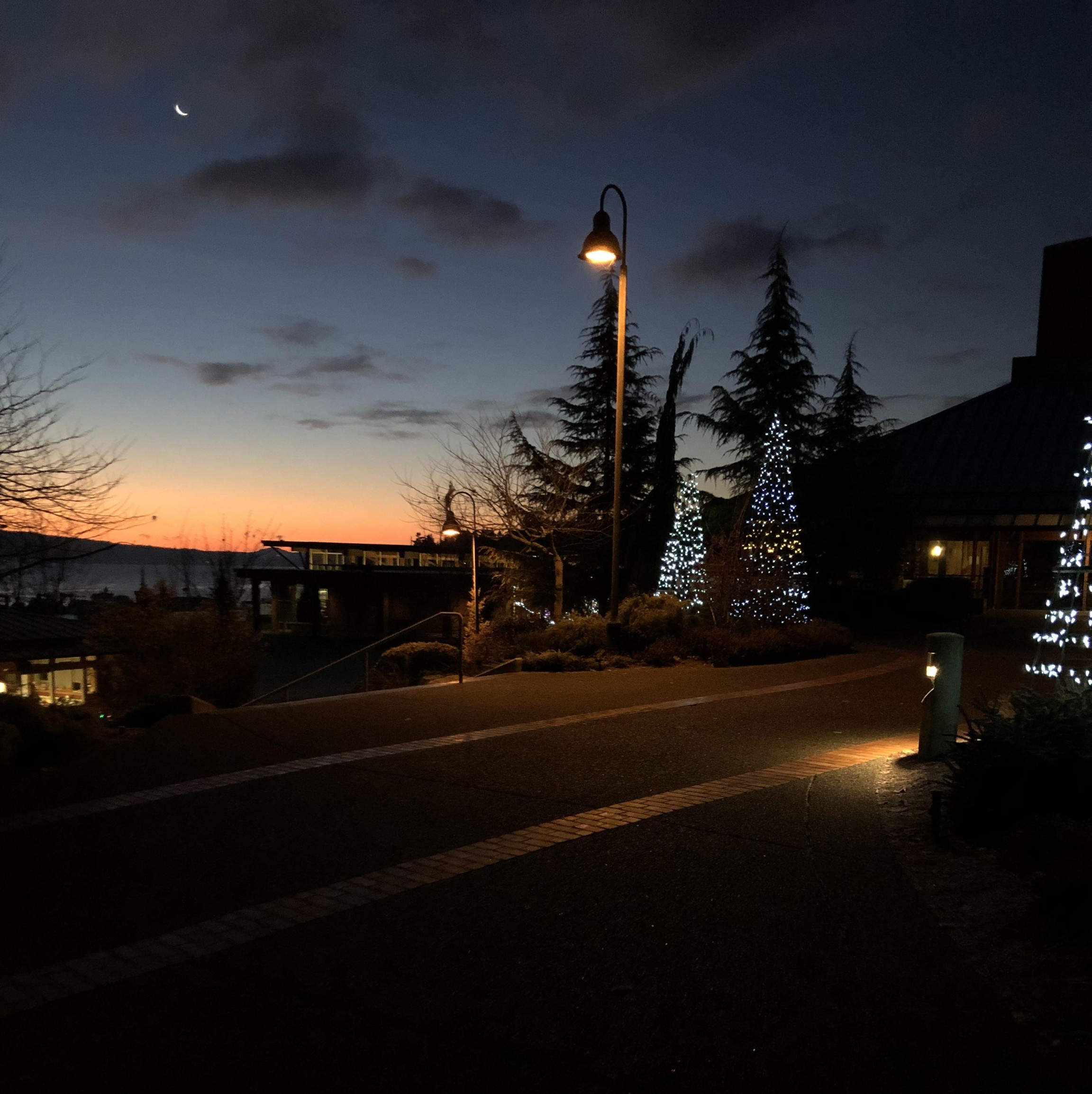 Festive Houses