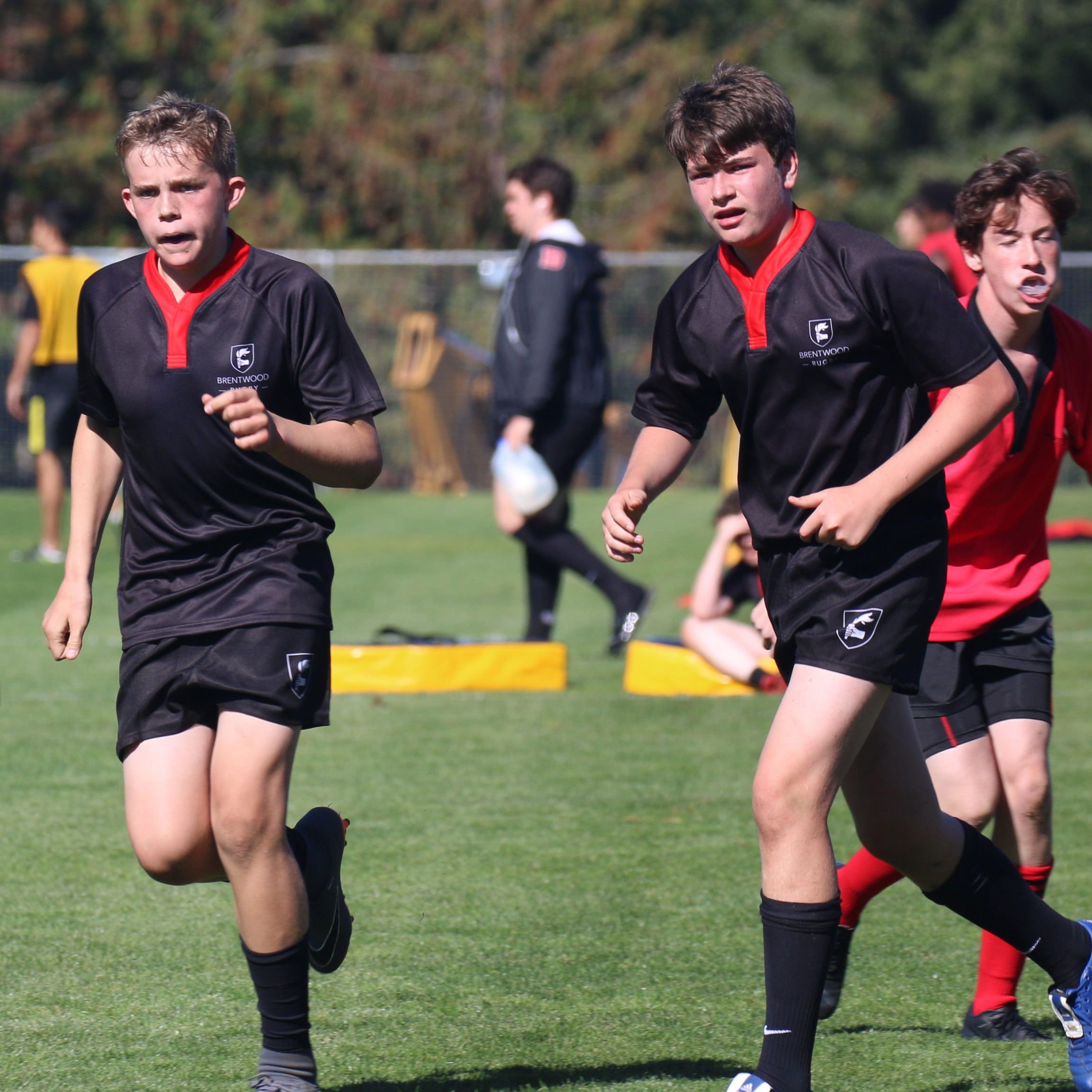Junior Colts Rugby 1
