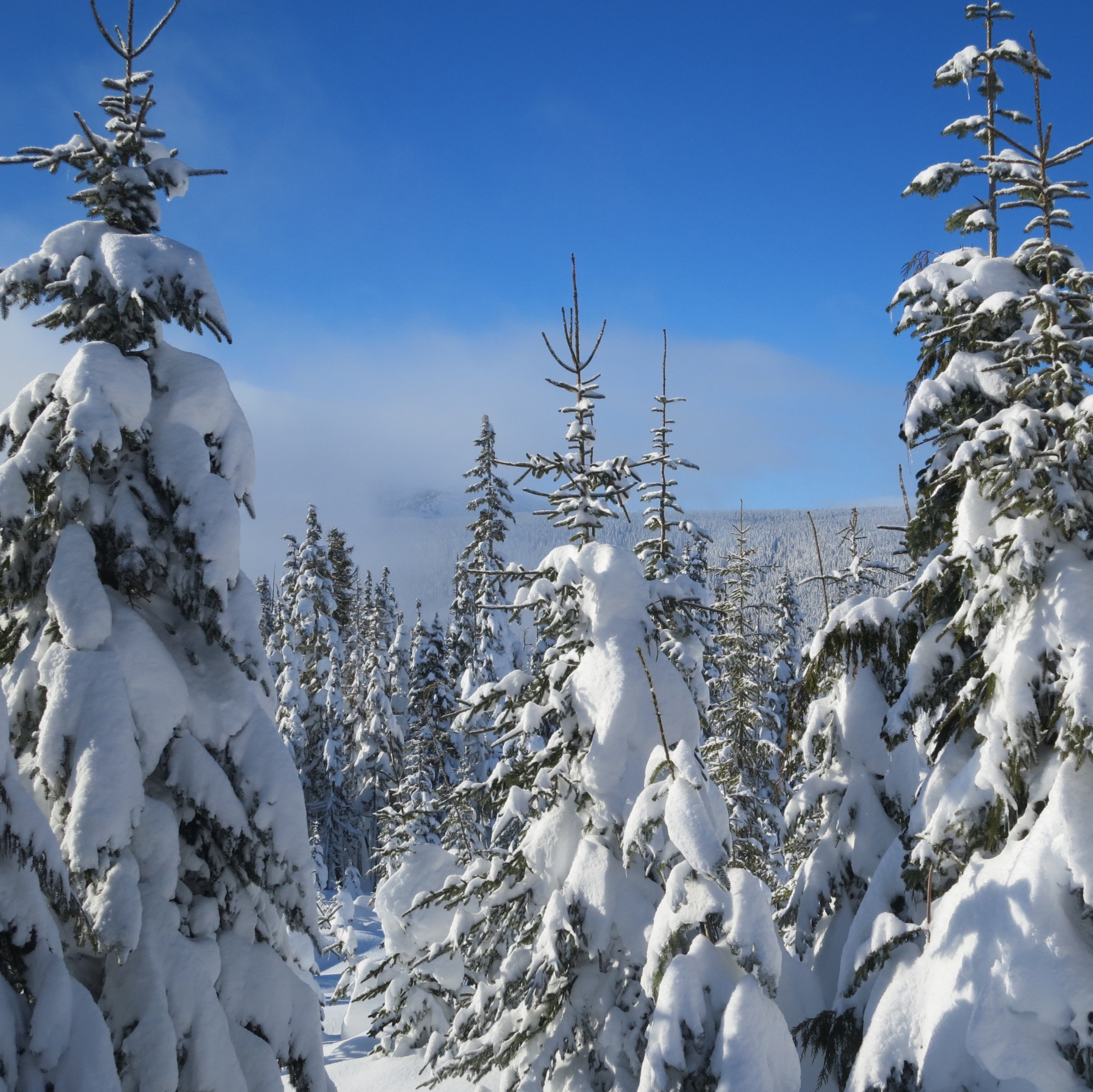The Winter Break Reset