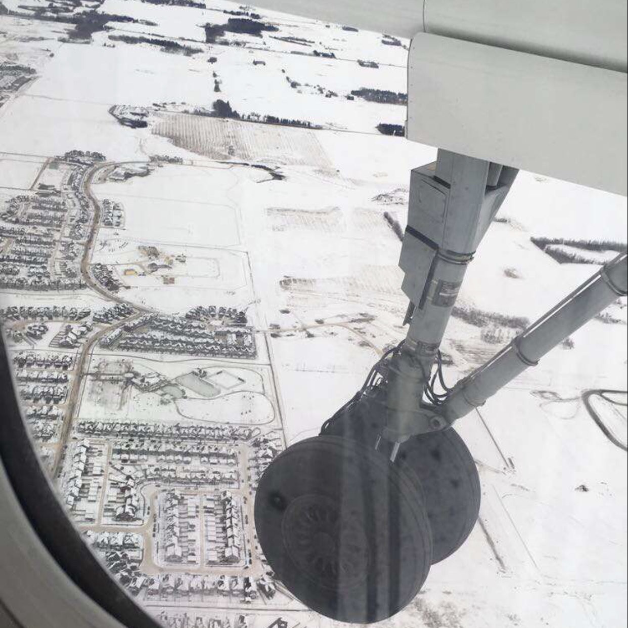 A Trip to ‘Berta