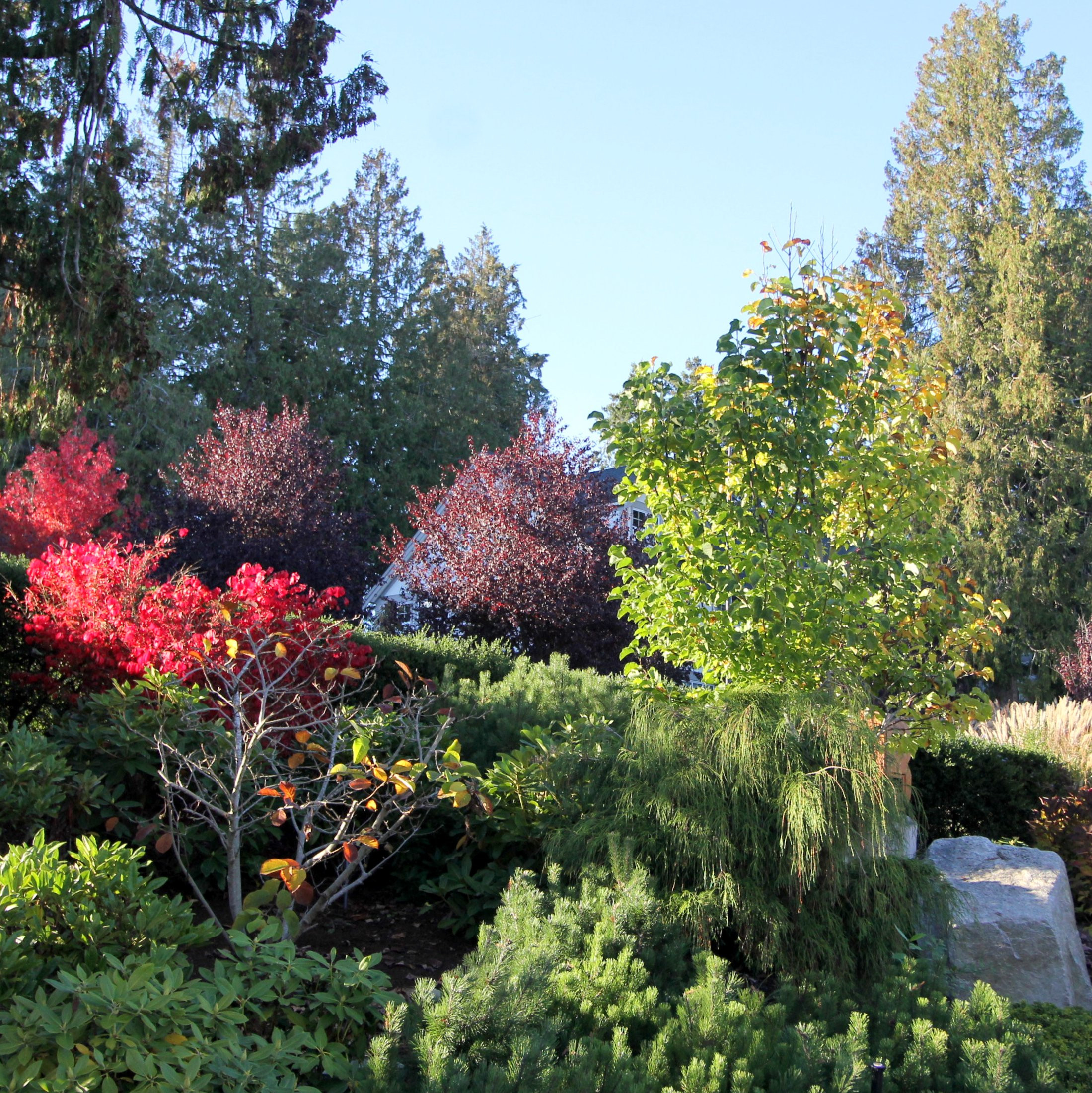 A Brentwood Weekend: One Day Sunday