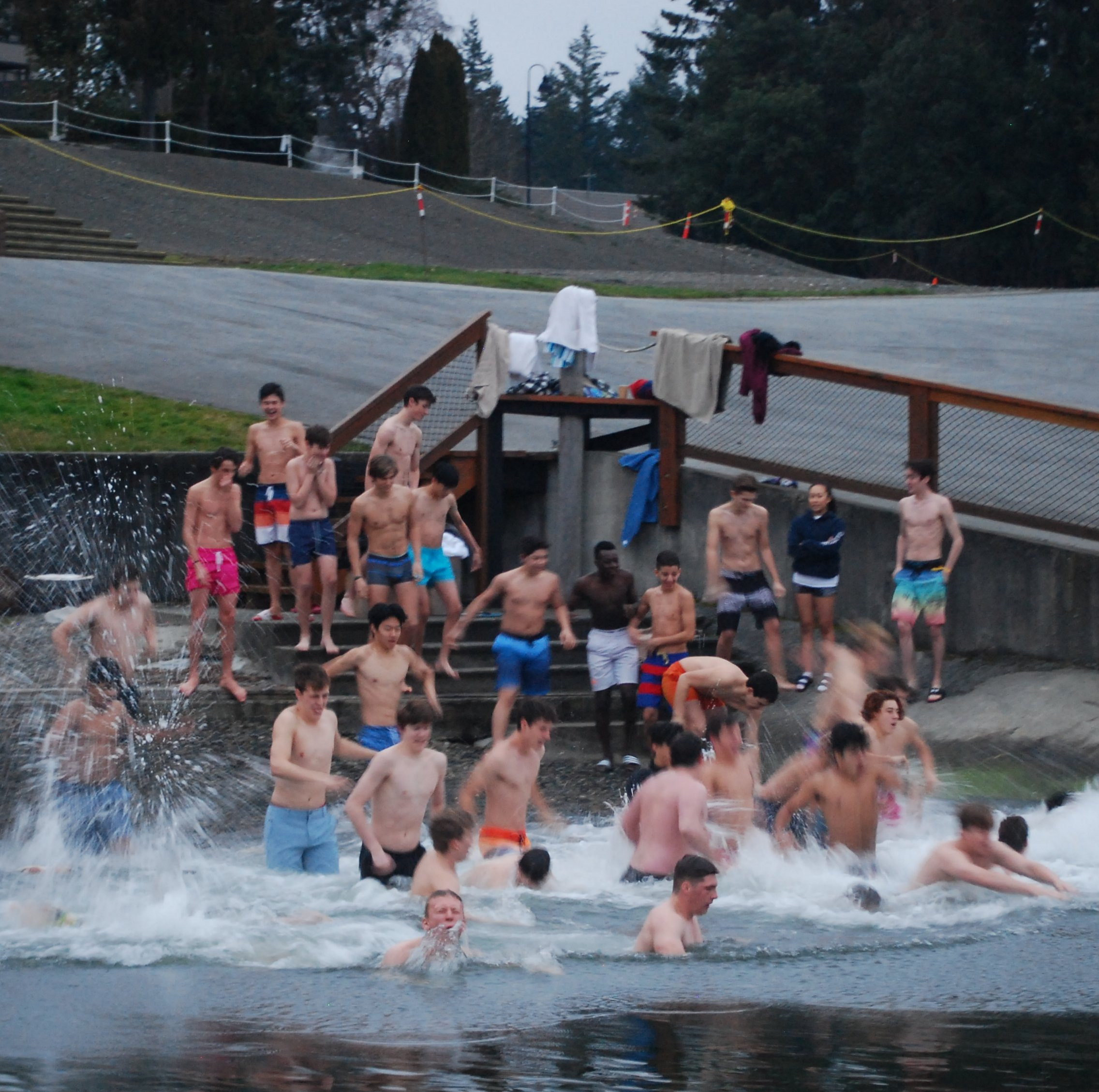 Polar Bear Swim