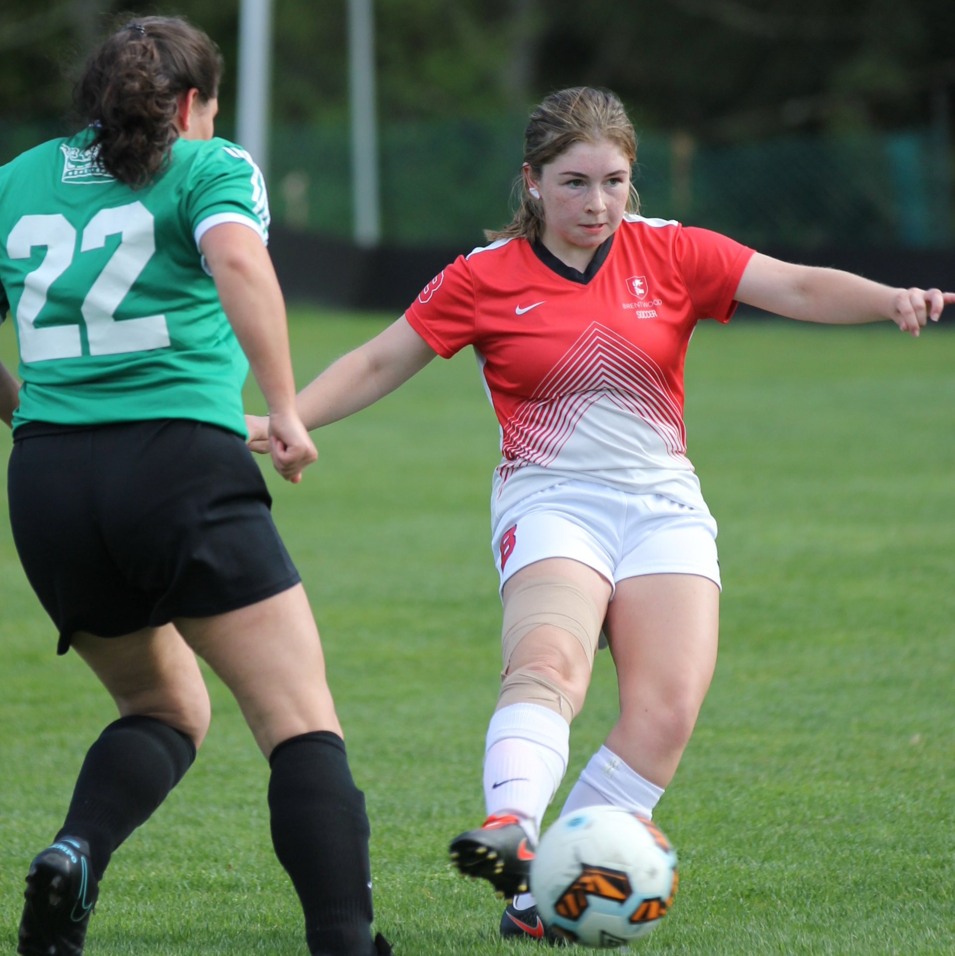 Senior Soccer Stings Scorpions