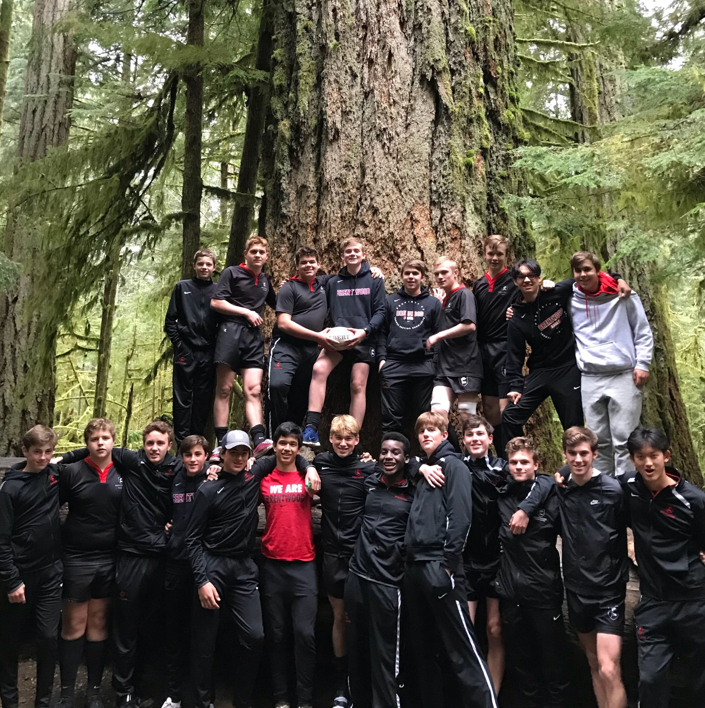 A Journey, To Alberni