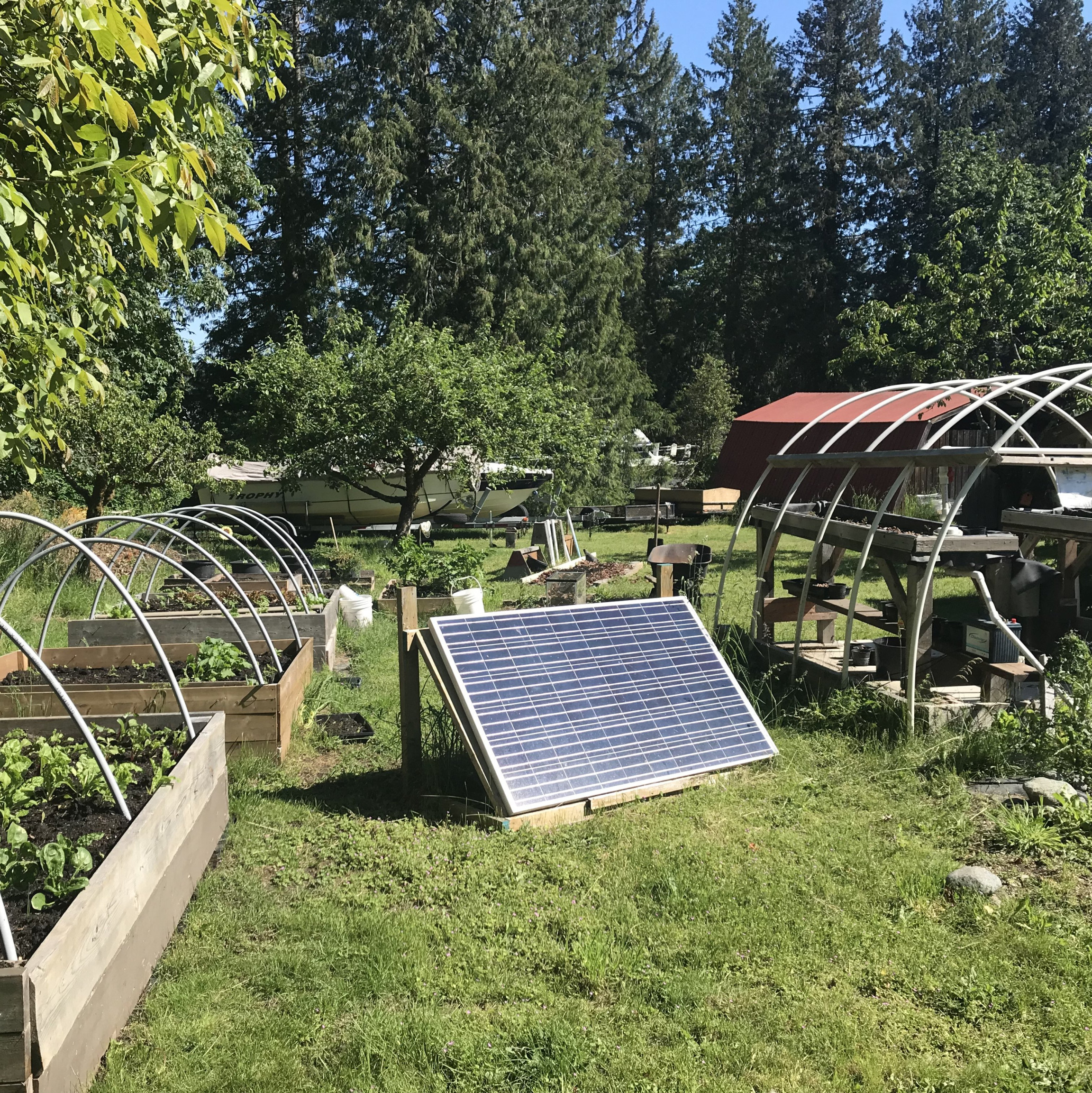Our School Garden