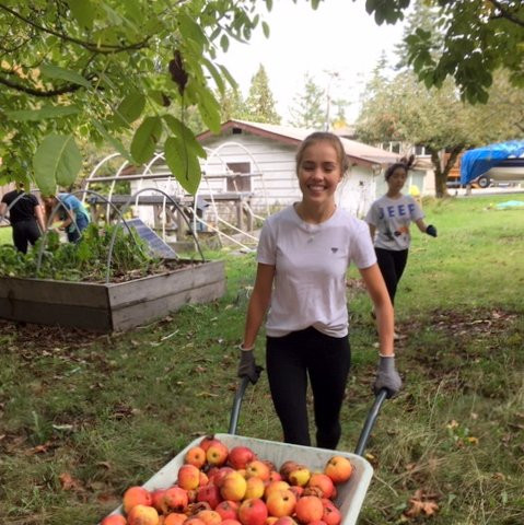 Harvest Season