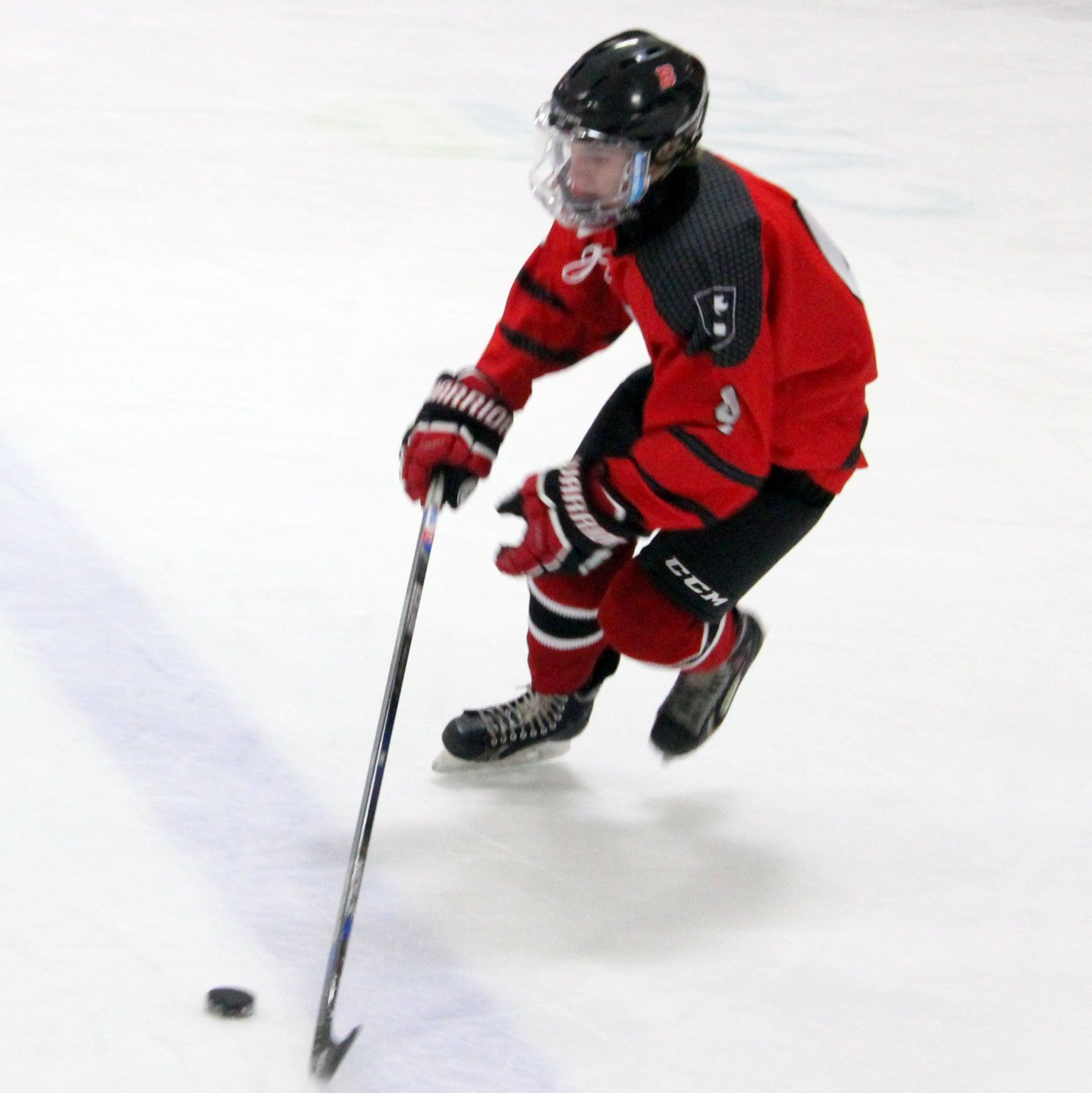 Fall Hockey – Road to the Ross Cup