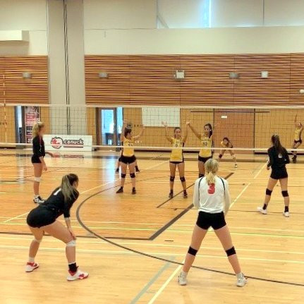 Volleyball ISAs