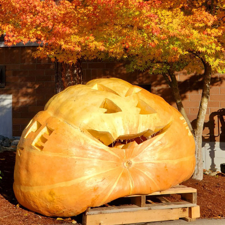 Hope House Halloween