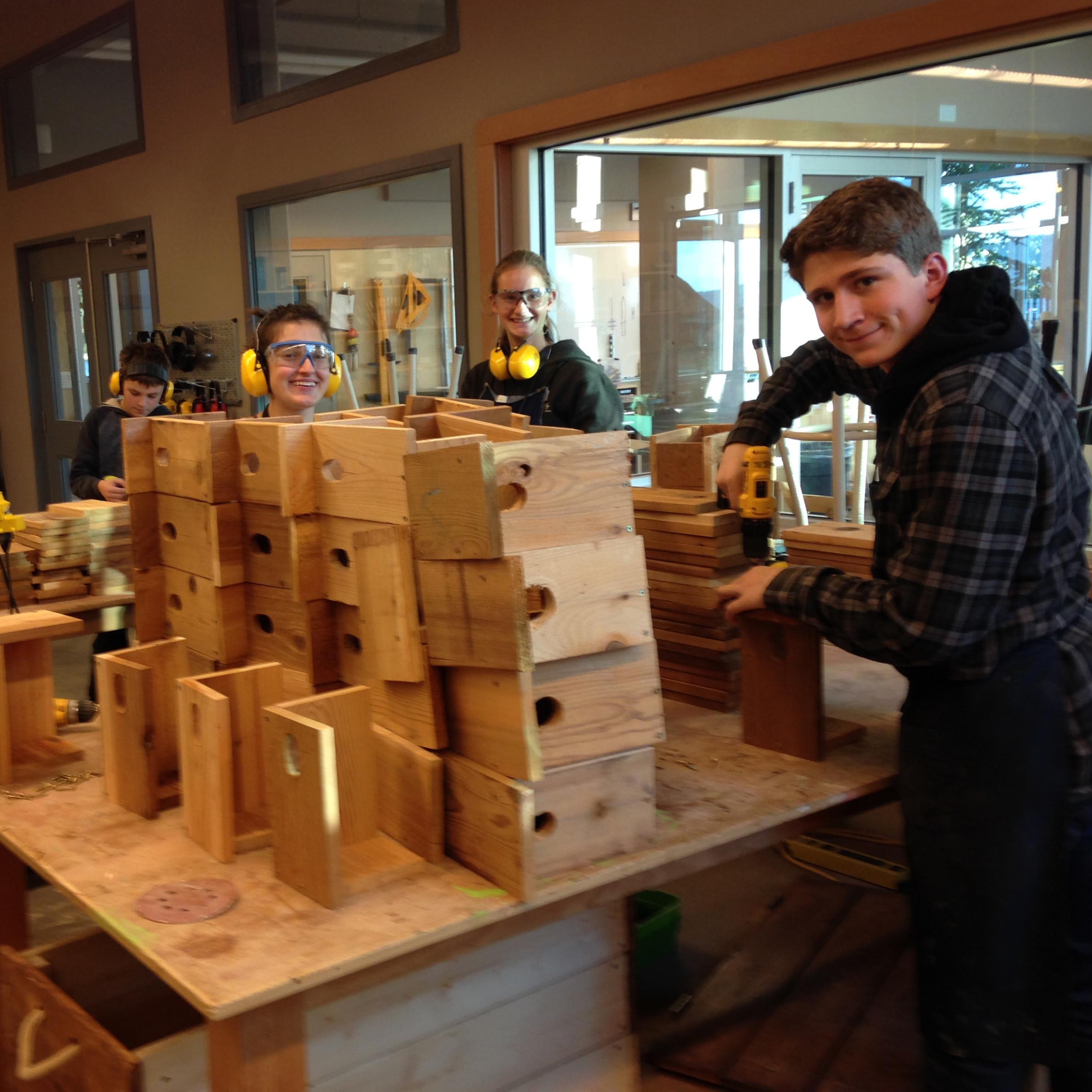 Project Nest Box