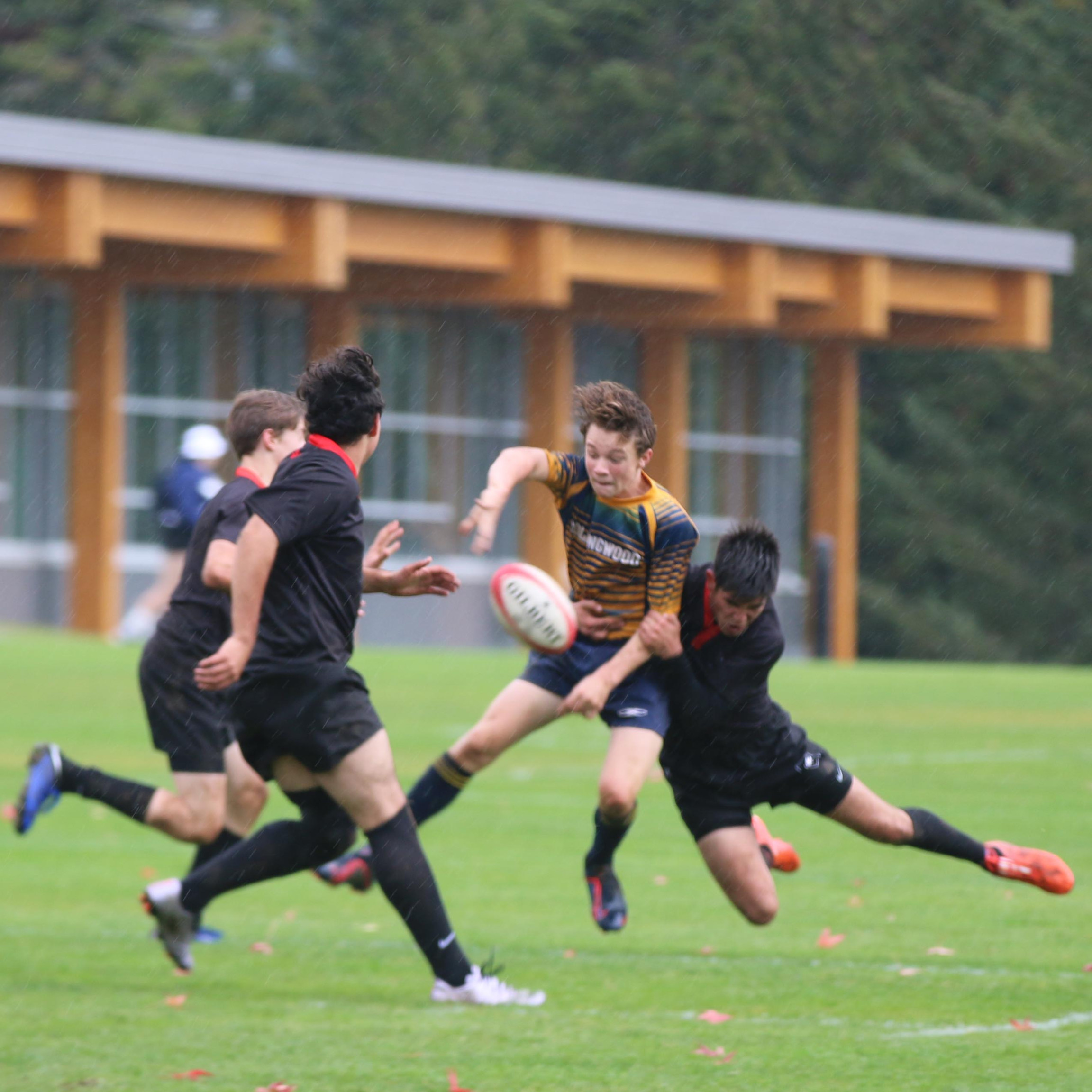 Junior Colts Rugby 1