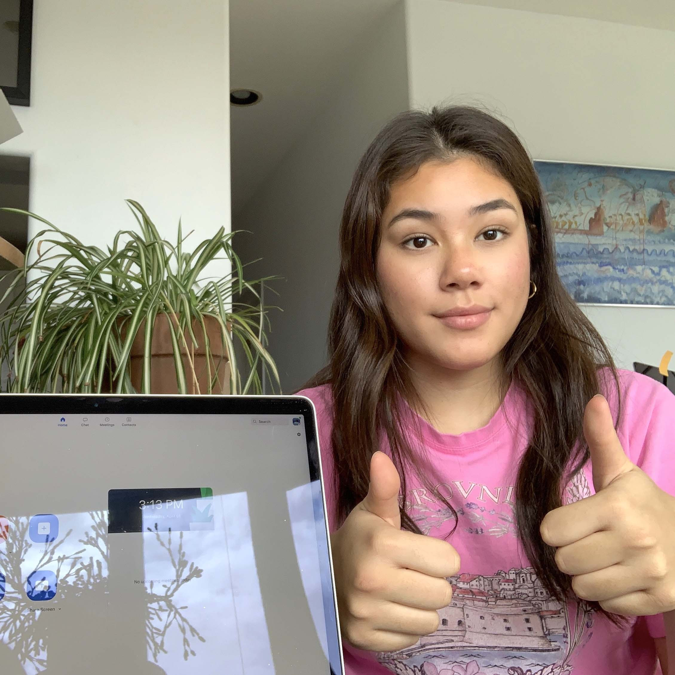 An International Online Learning Experience
