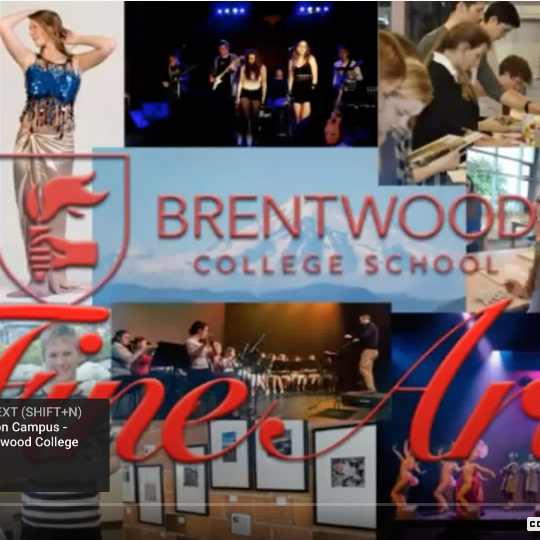 The Arts Fair – Celebrating the Arts on Zoom