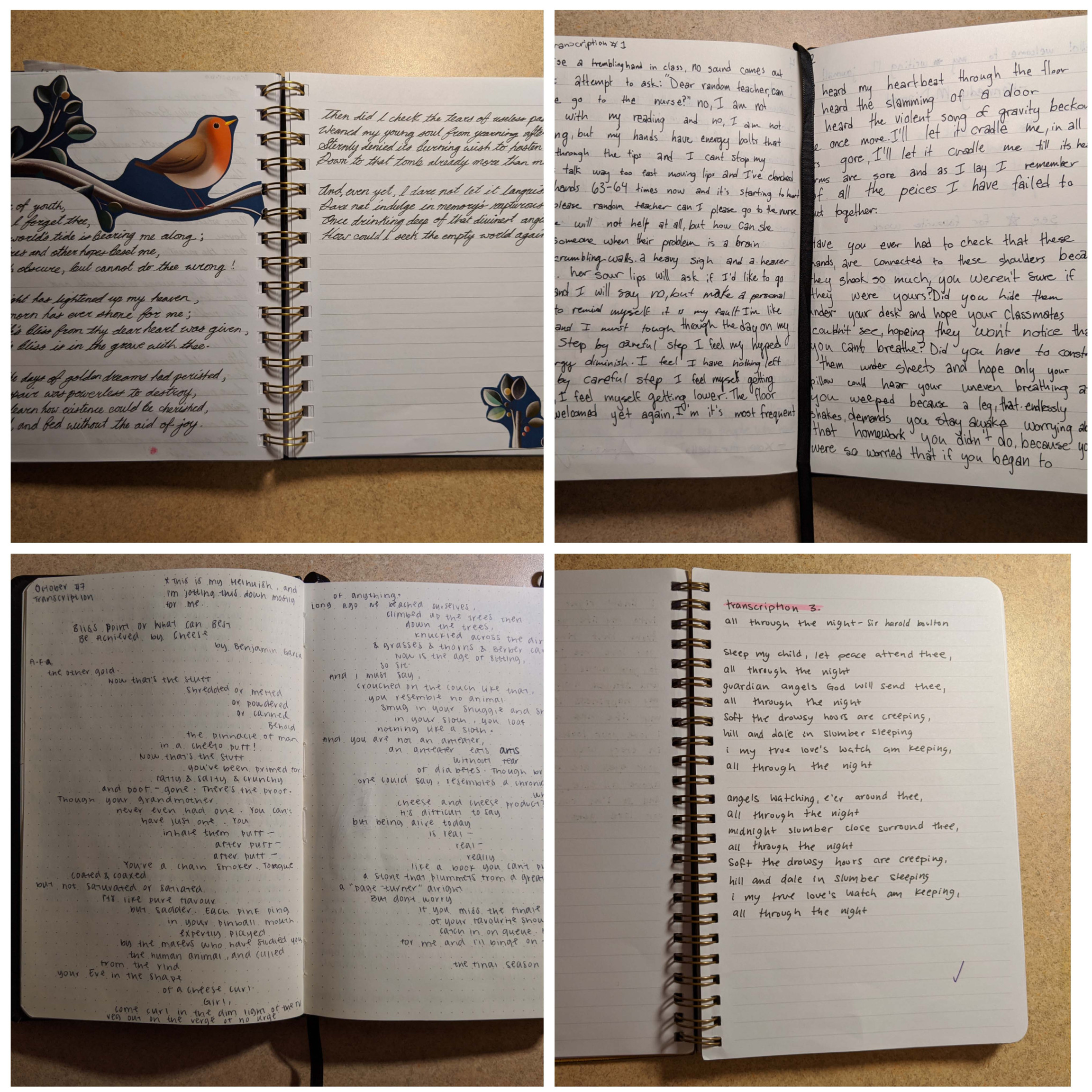 The Wonders of Writing 12