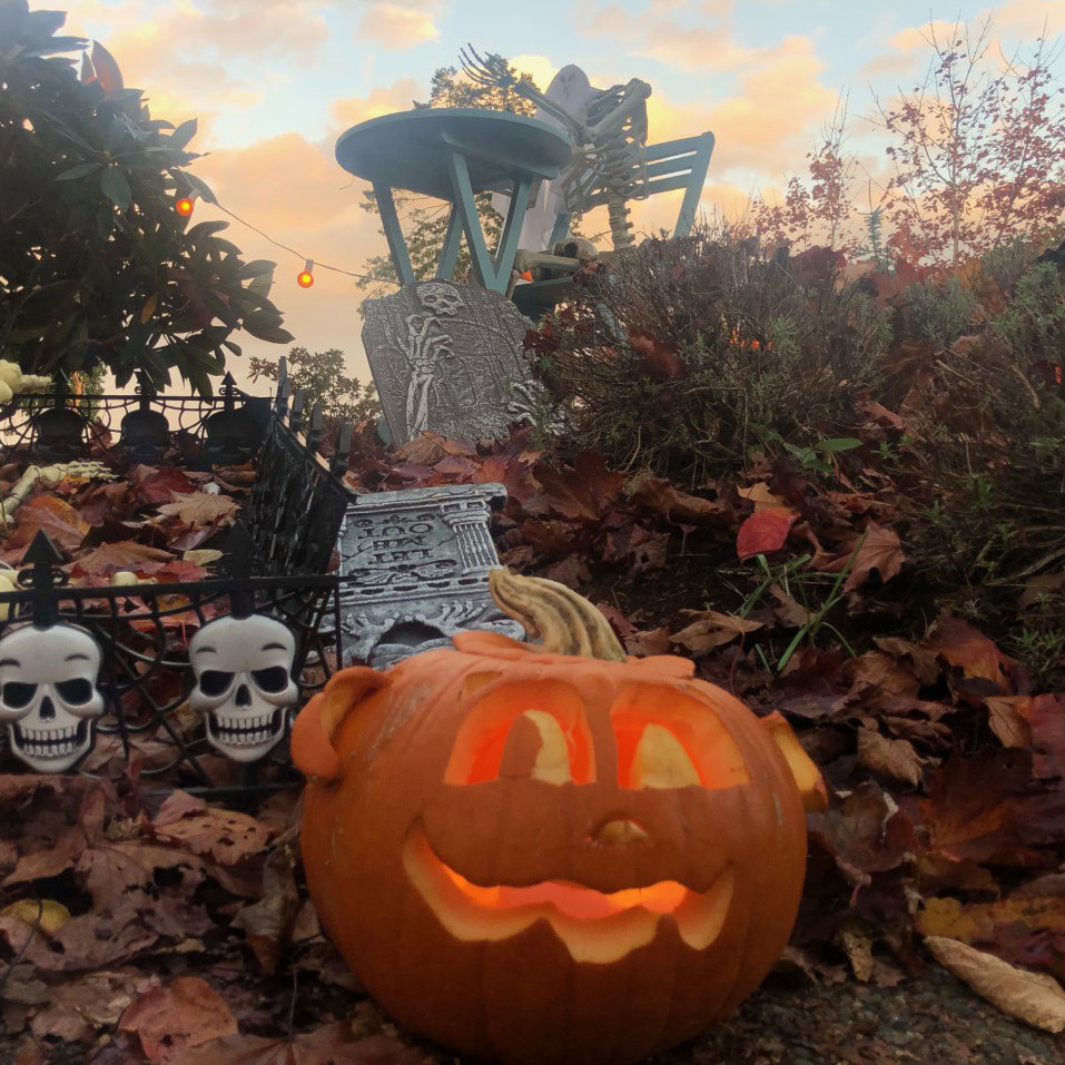 Spooky Season